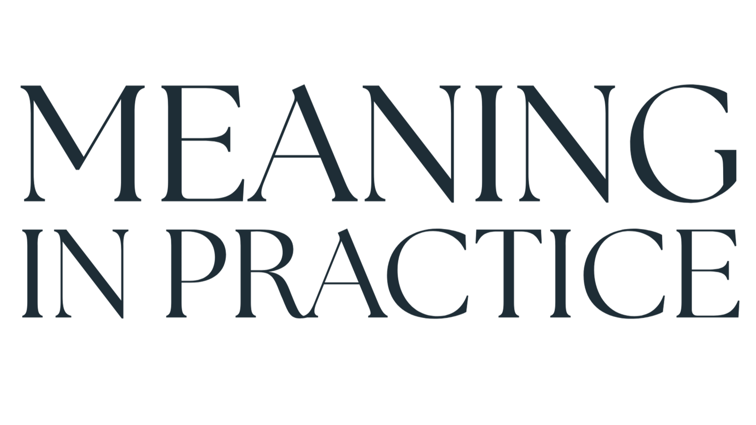 Meaning in Practice | Speaking + Strategy