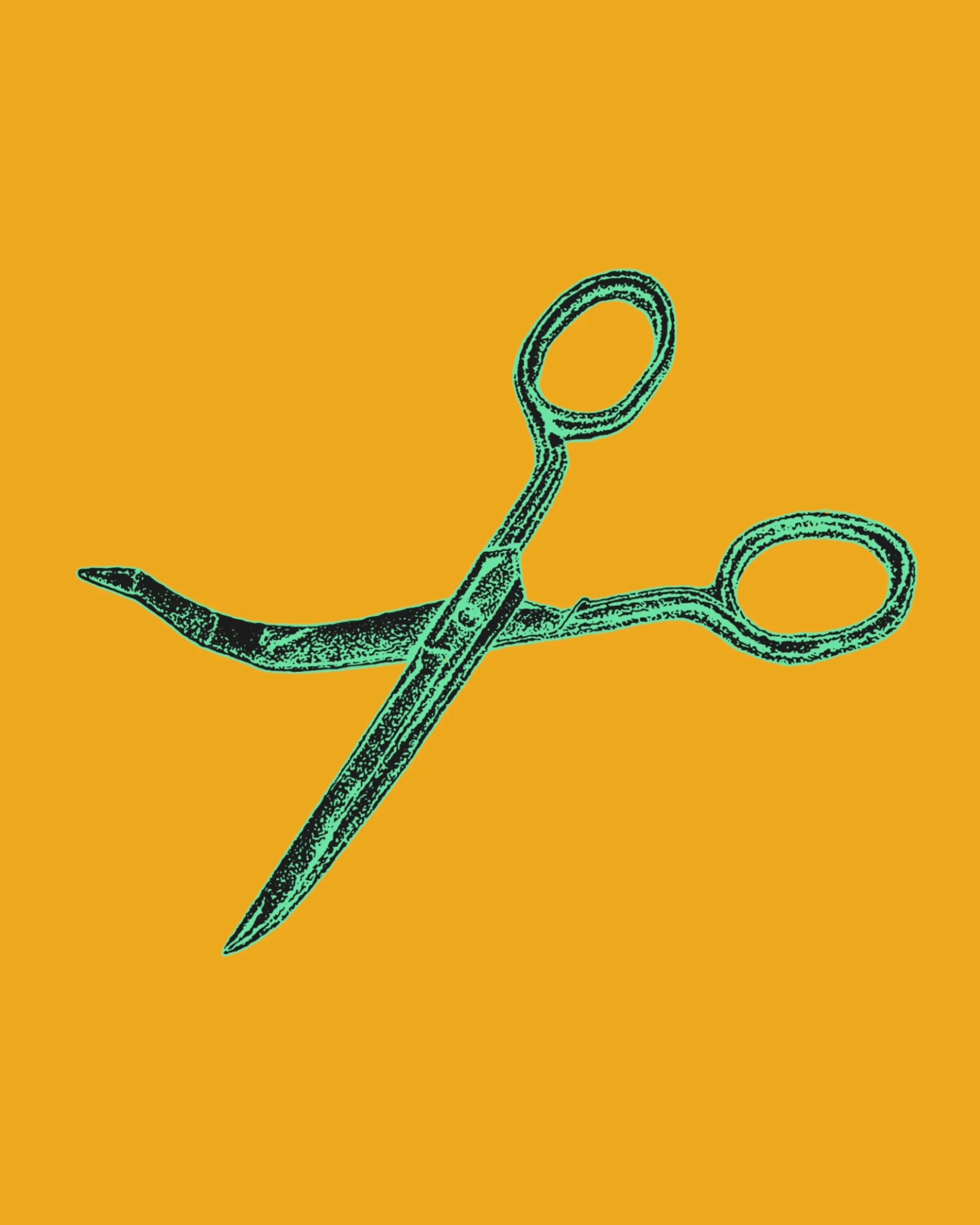 scissors.jpg