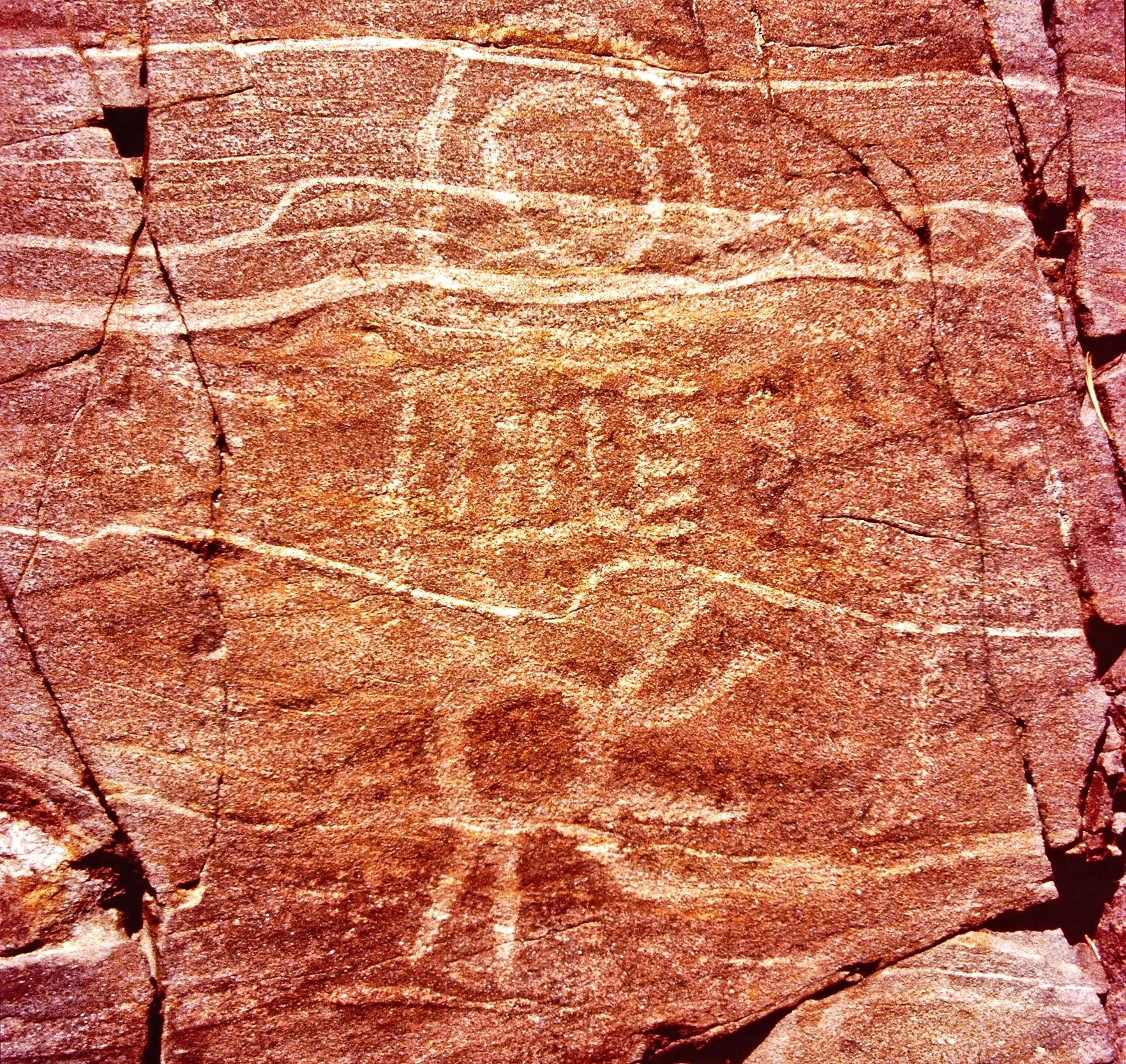 placer-county-4-d (1).webp