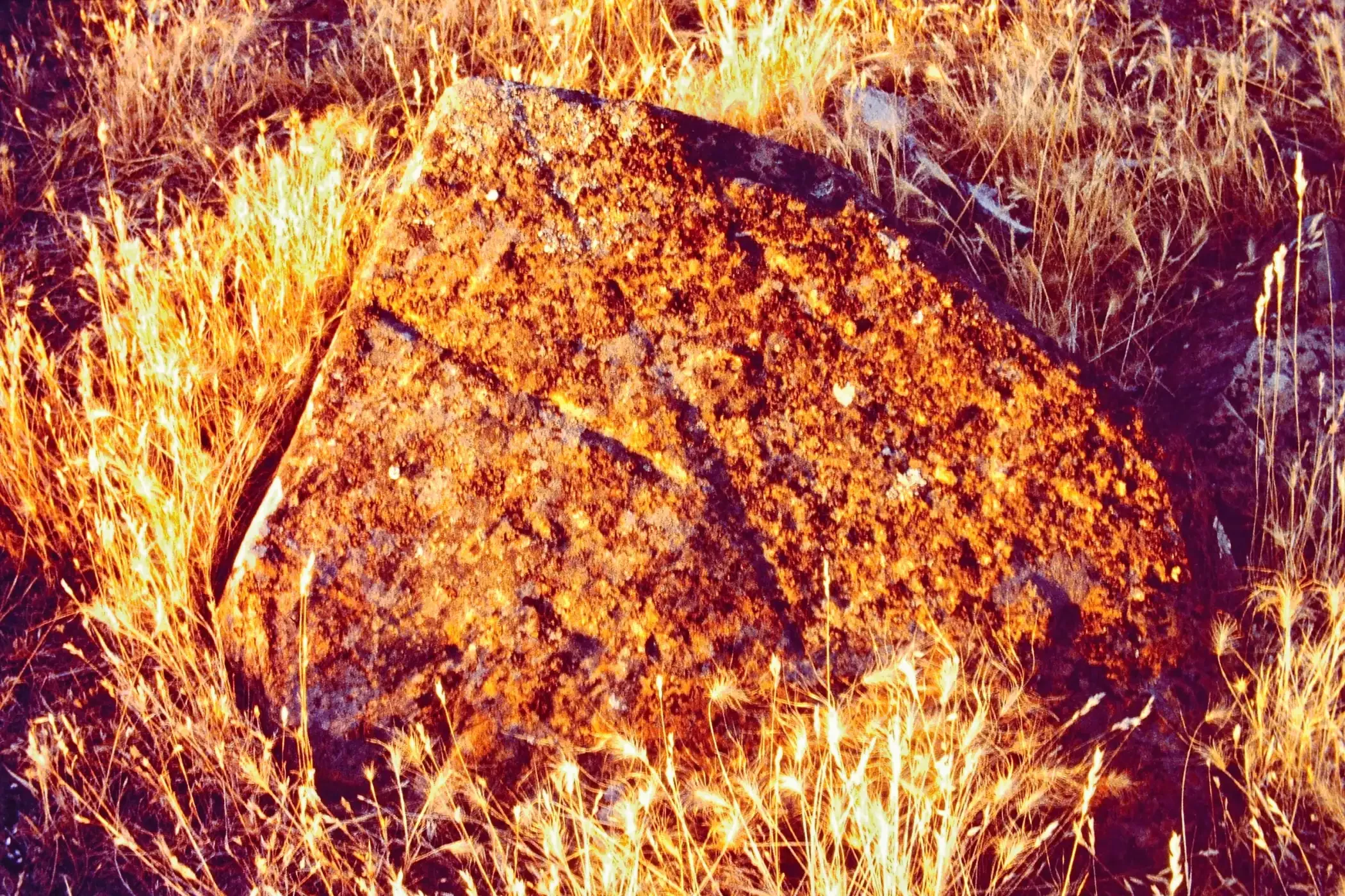 el-dorado-county-1-d (1).webp