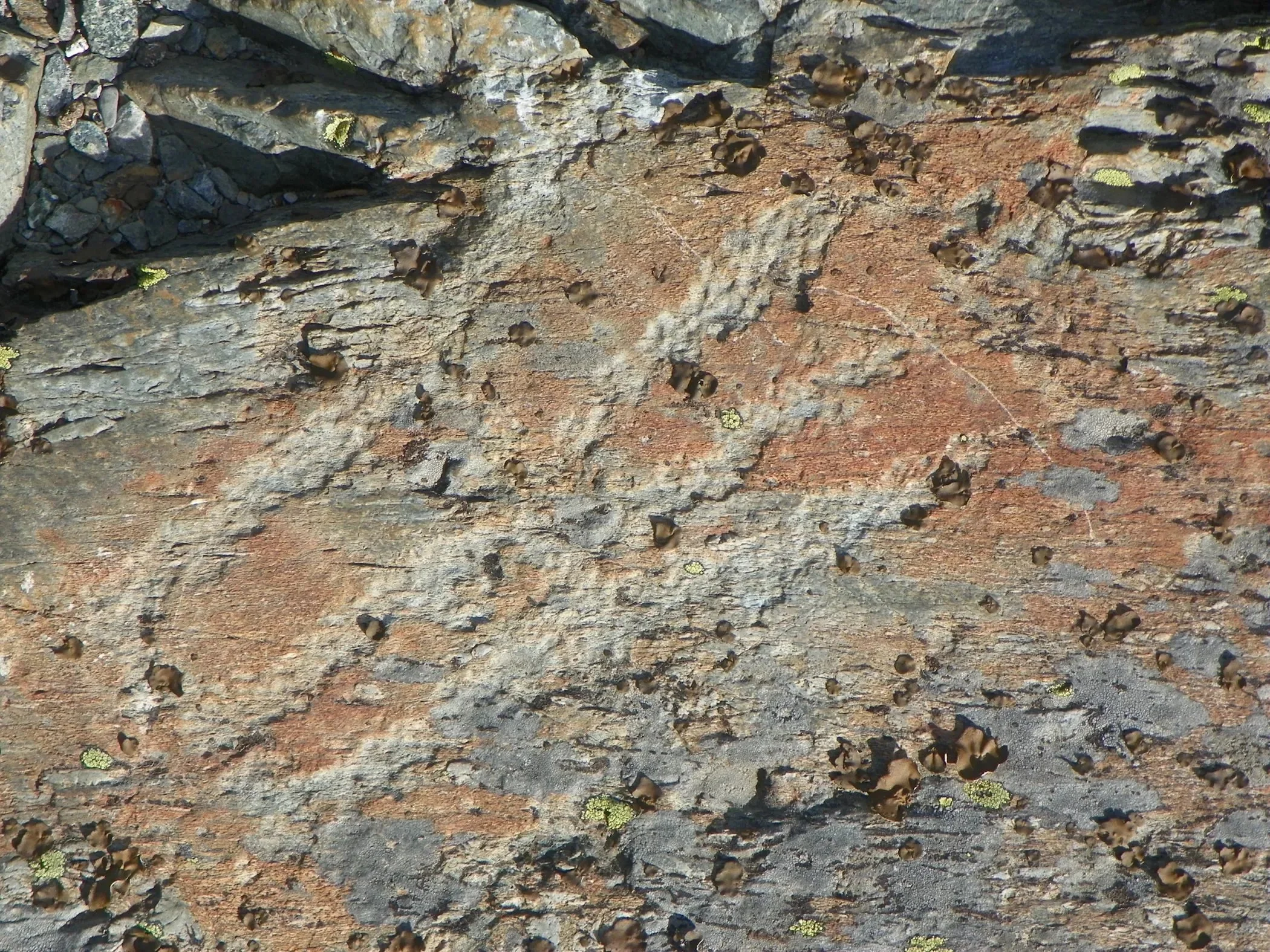 Nevada County, Site 1