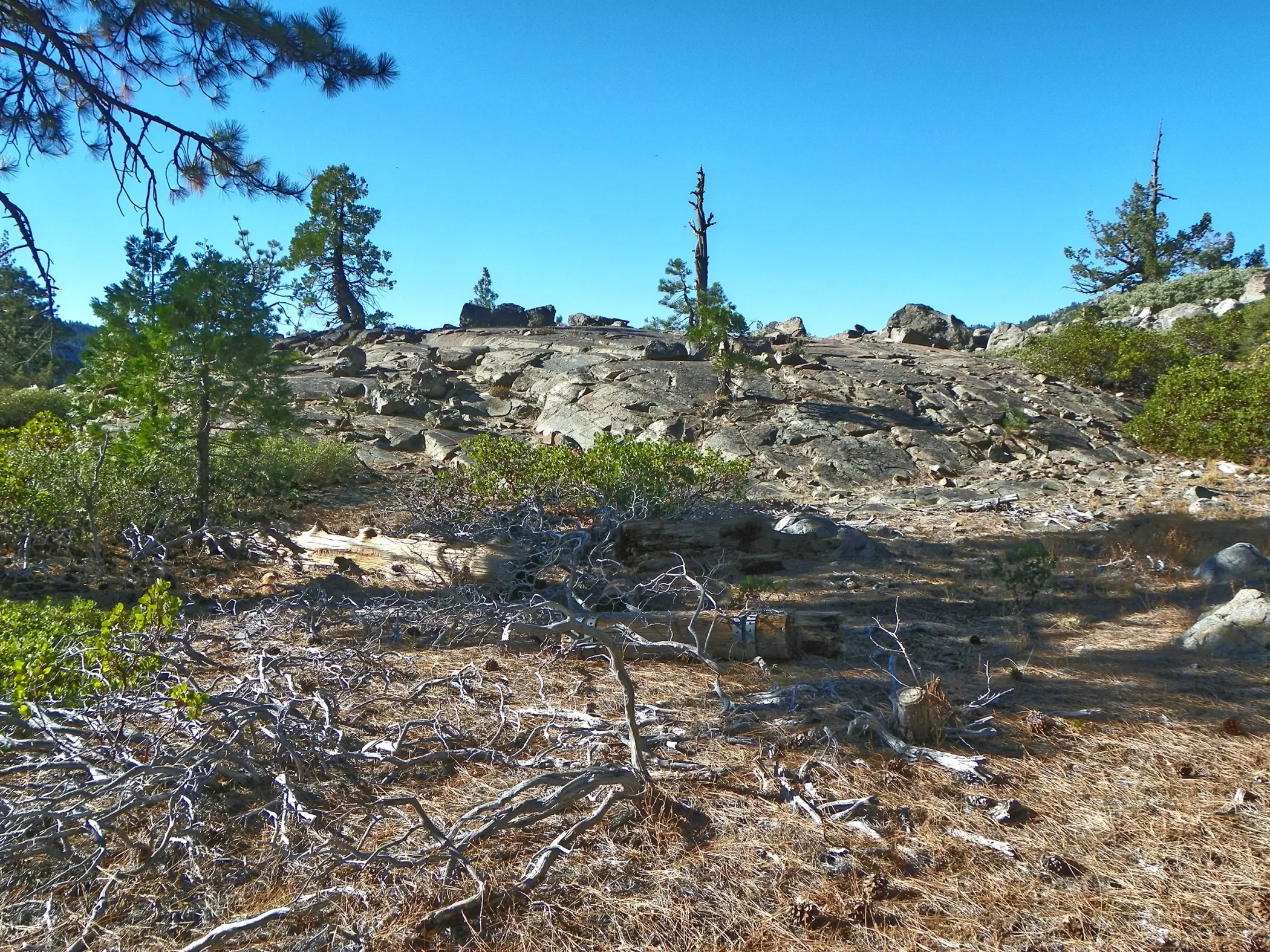 nevada-county-3-a (1).webp