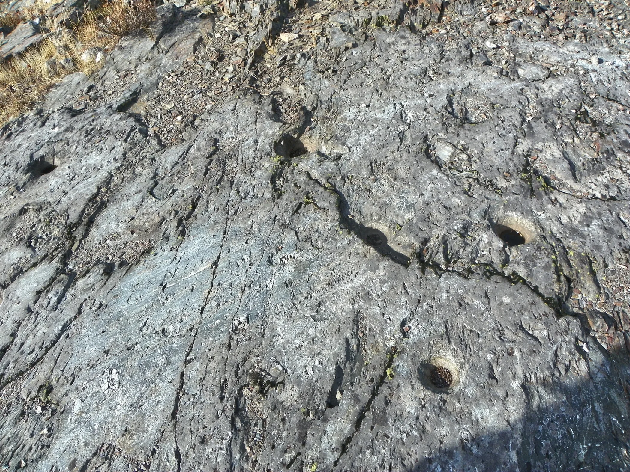 nevada-county-1-b (1).webp