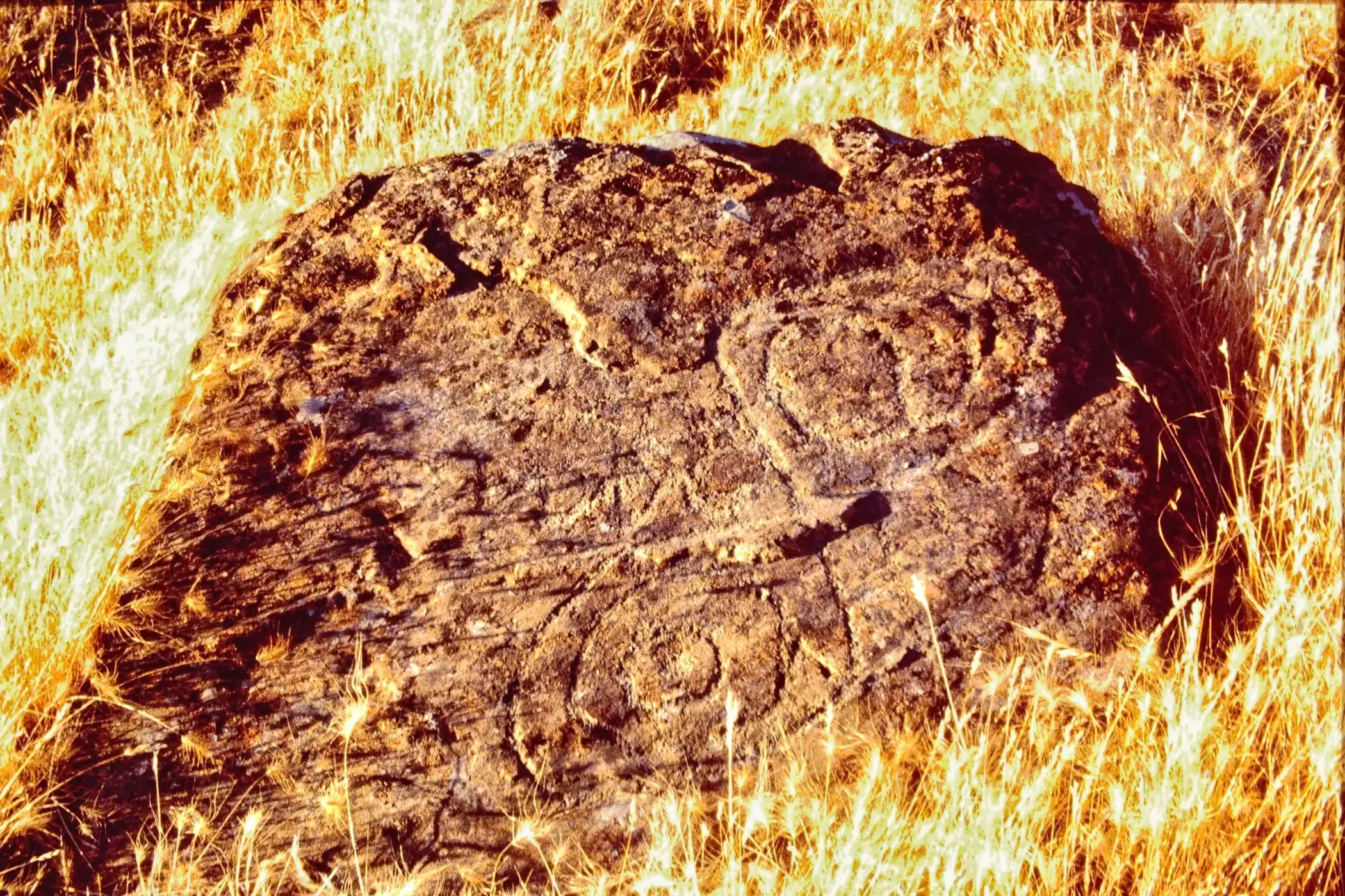 el-dorado-county-1-g (1).webp