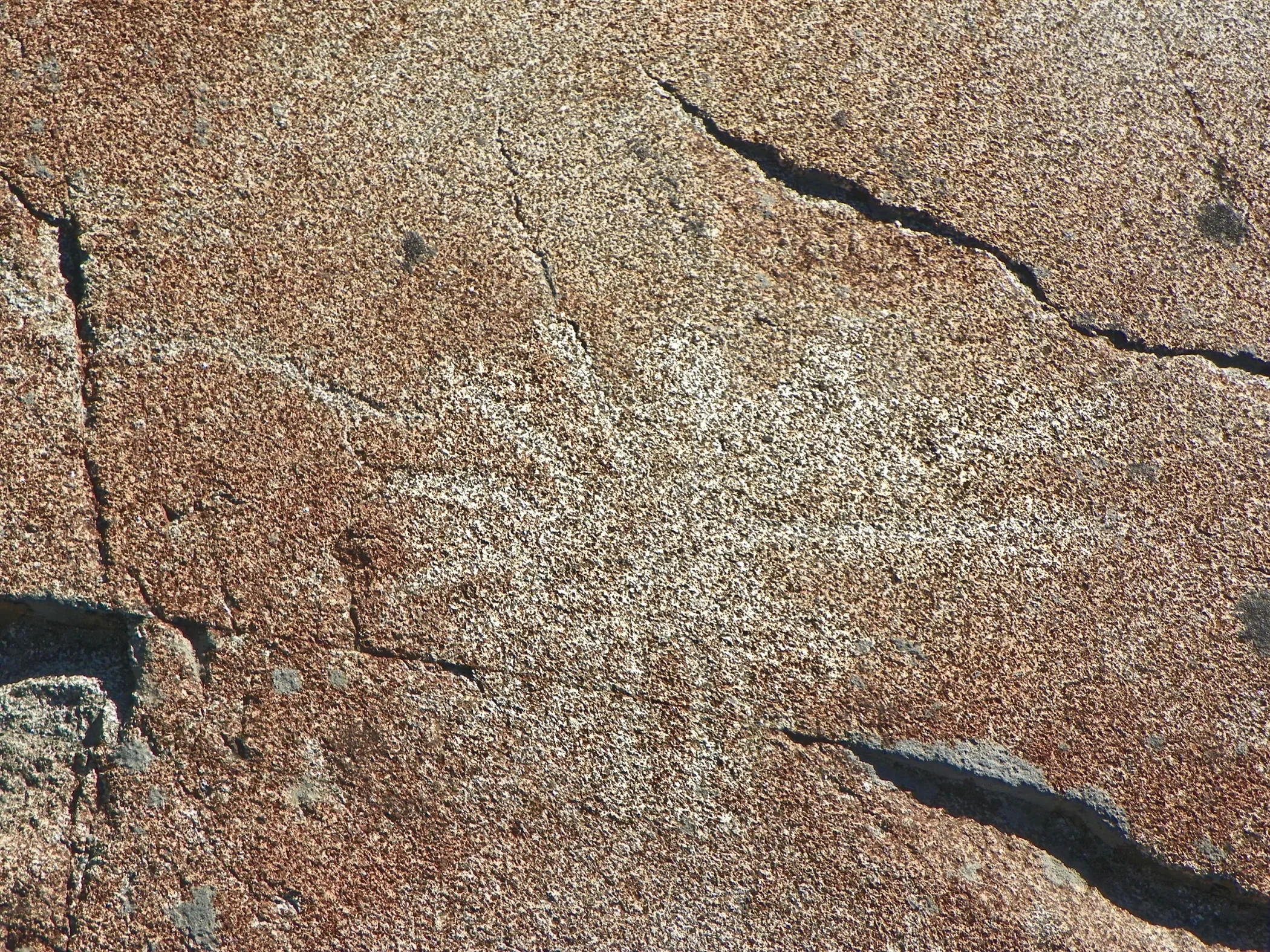 nevada-county-3-c (1).webp