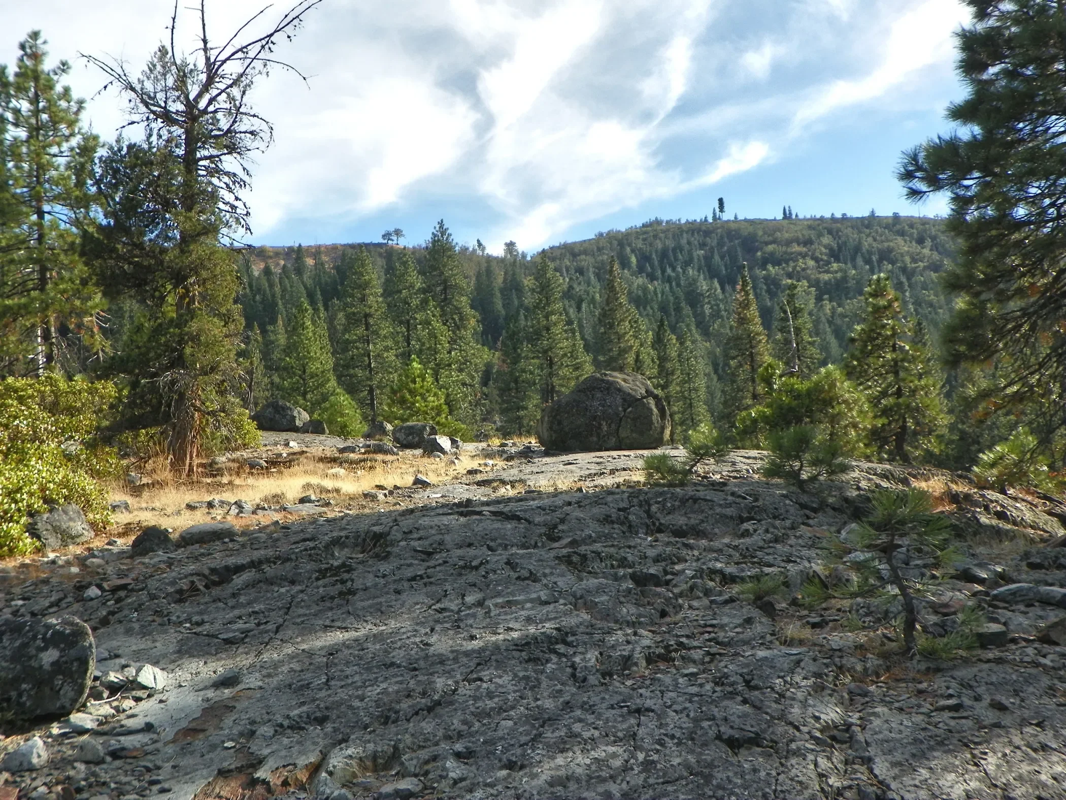 nevada-county-1-a (1).webp