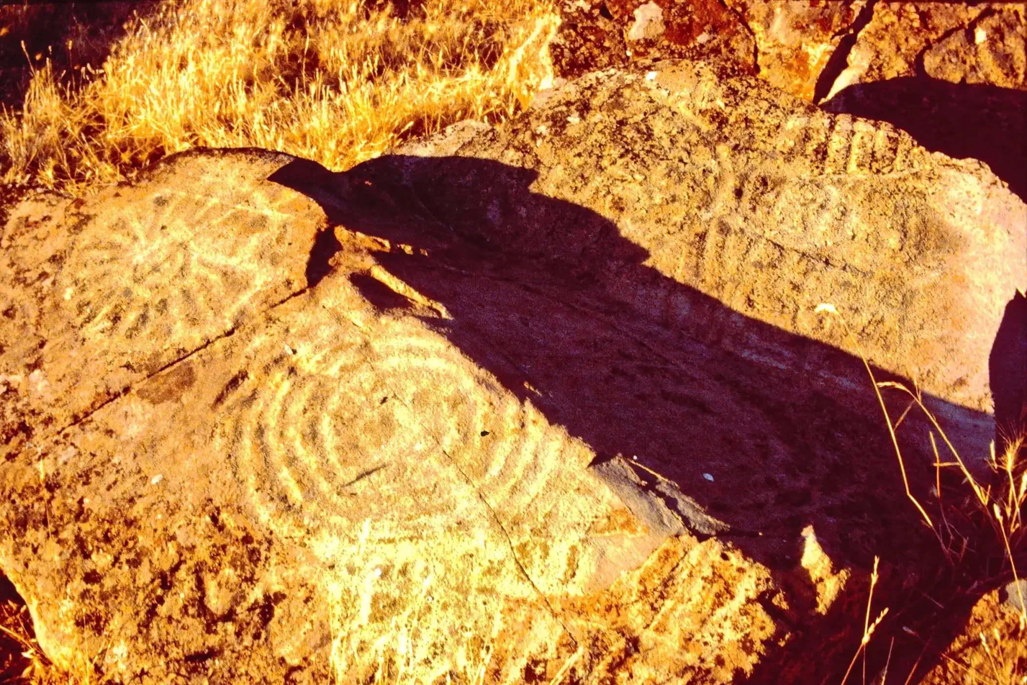 El Dorado County — FRIENDS OF SIERRA ART ROCK