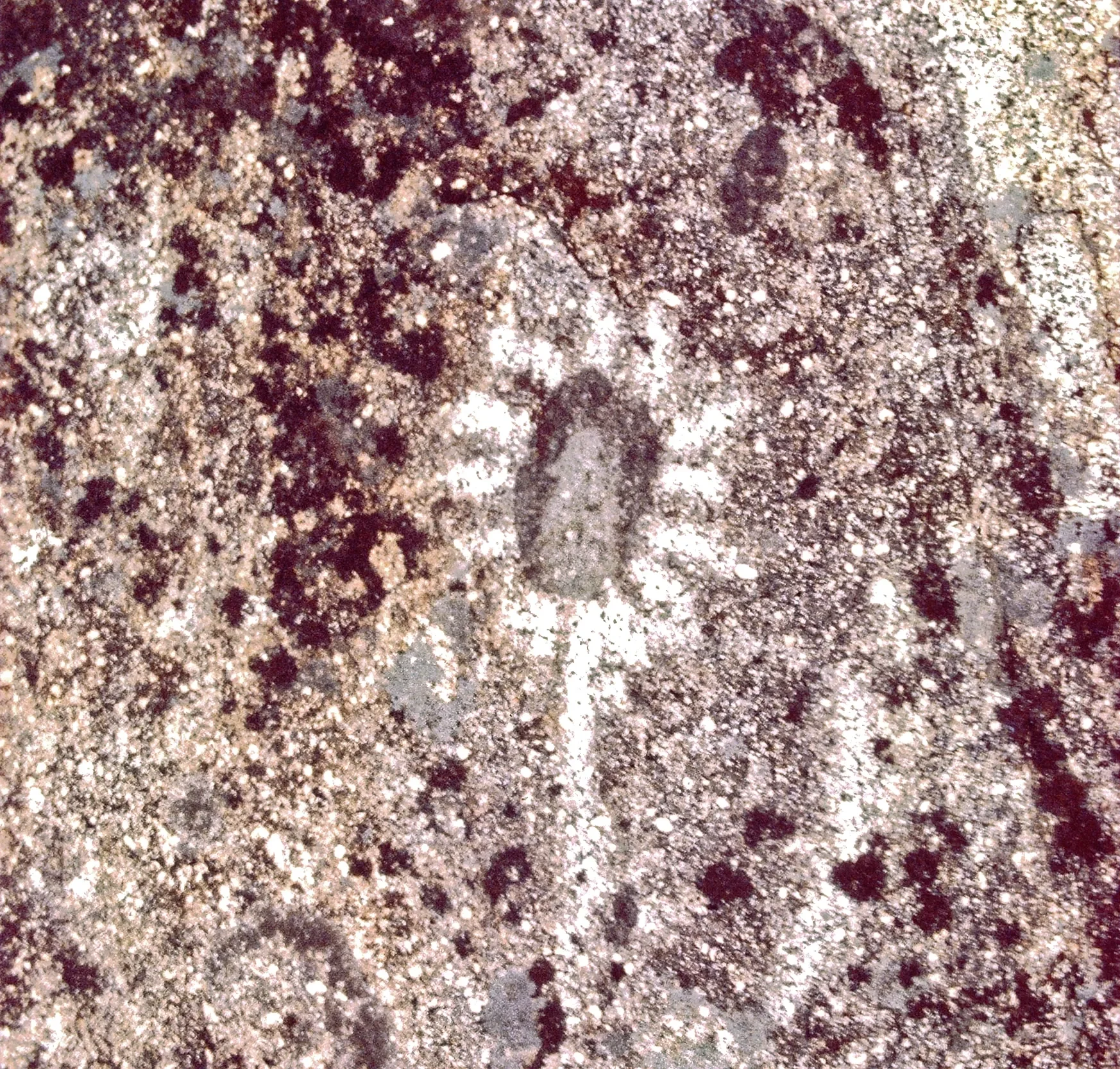 Placer County, Site 2