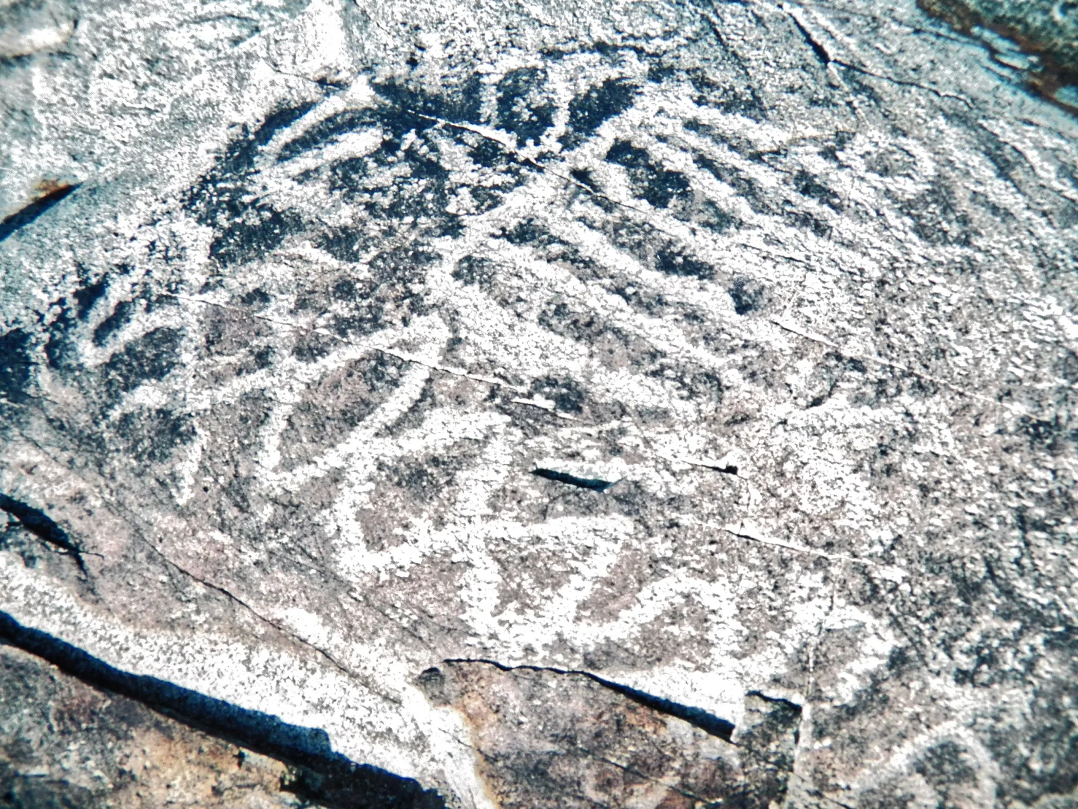 Nevada County, Site 5