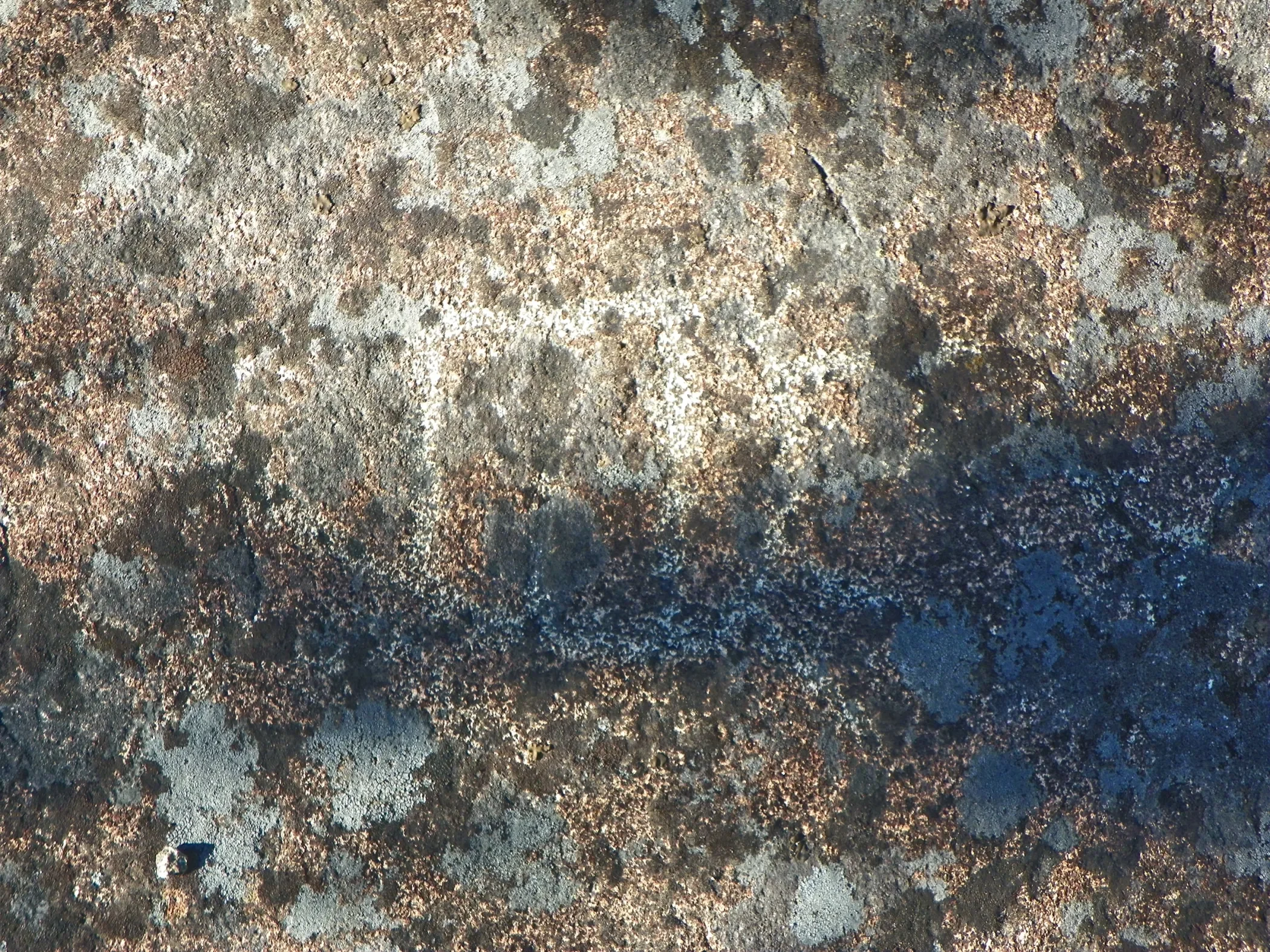 nevada-county-3-b (1).webp