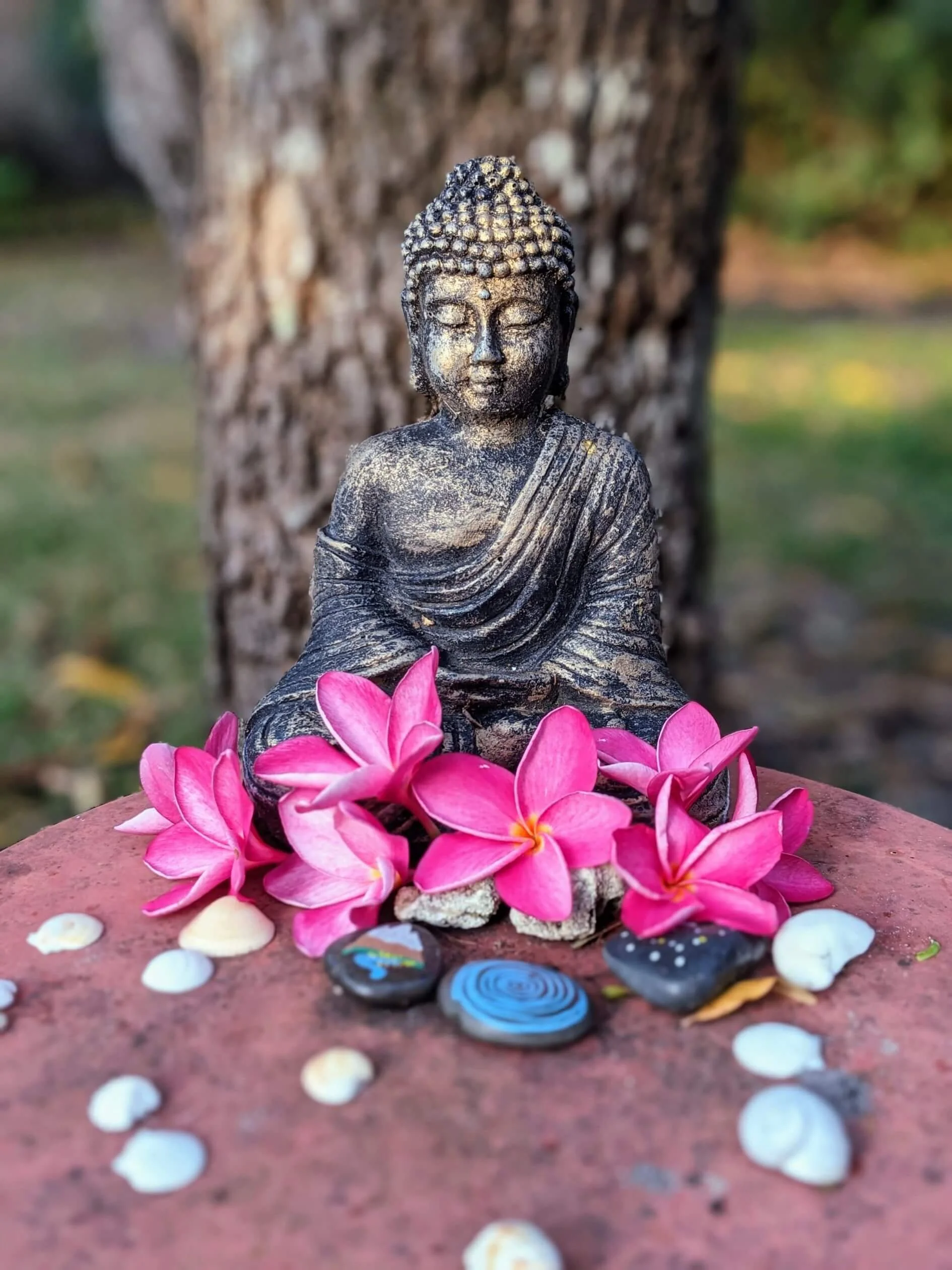 Small Buddha statue surrounded by pink flowers and seashells on a stone surface with a large tree trunk in the background.