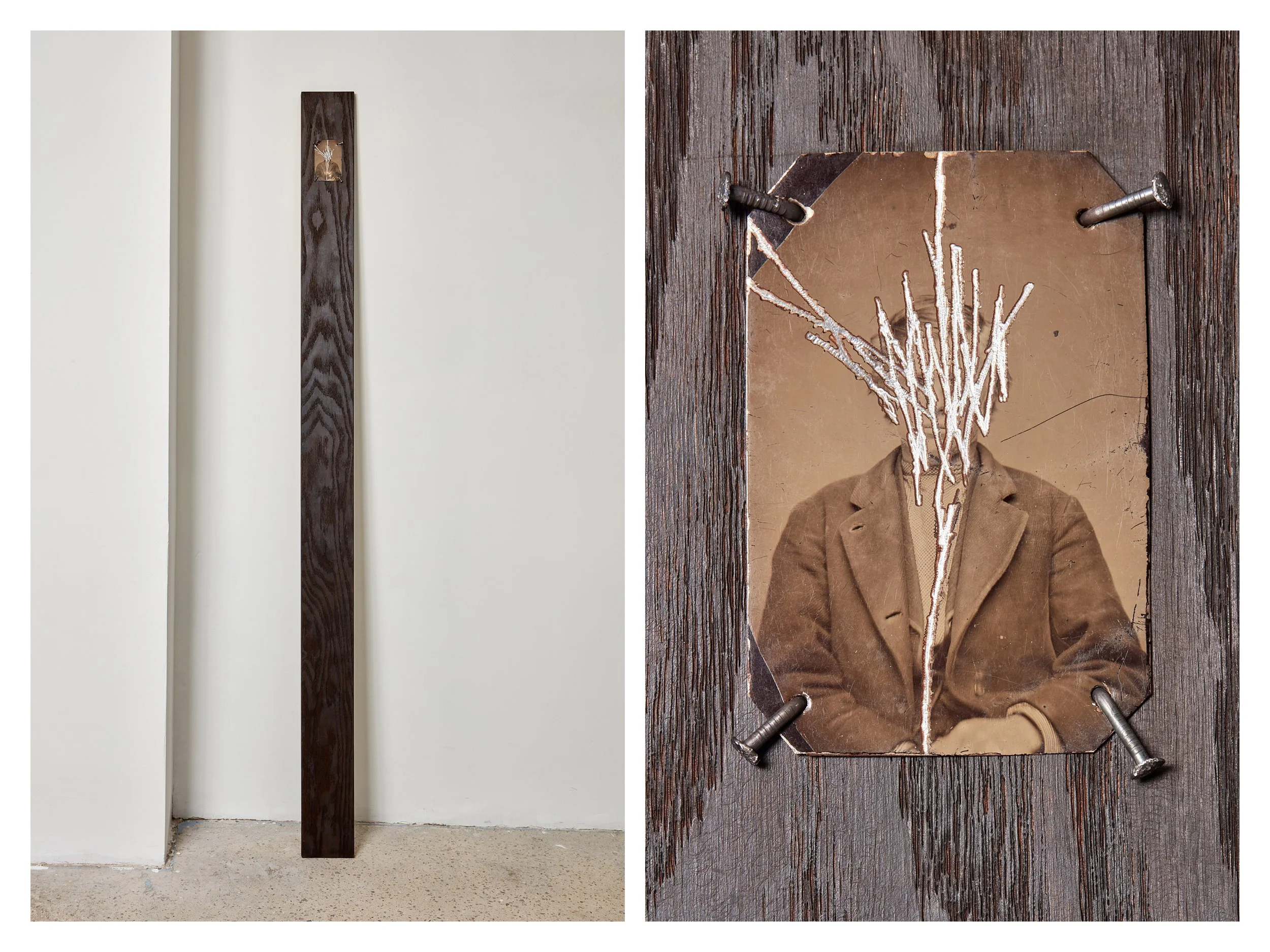  Wells Watson 
 So-Called, 2025,  (VII) 
 Scratched tintype, carbonized red oak, nails 