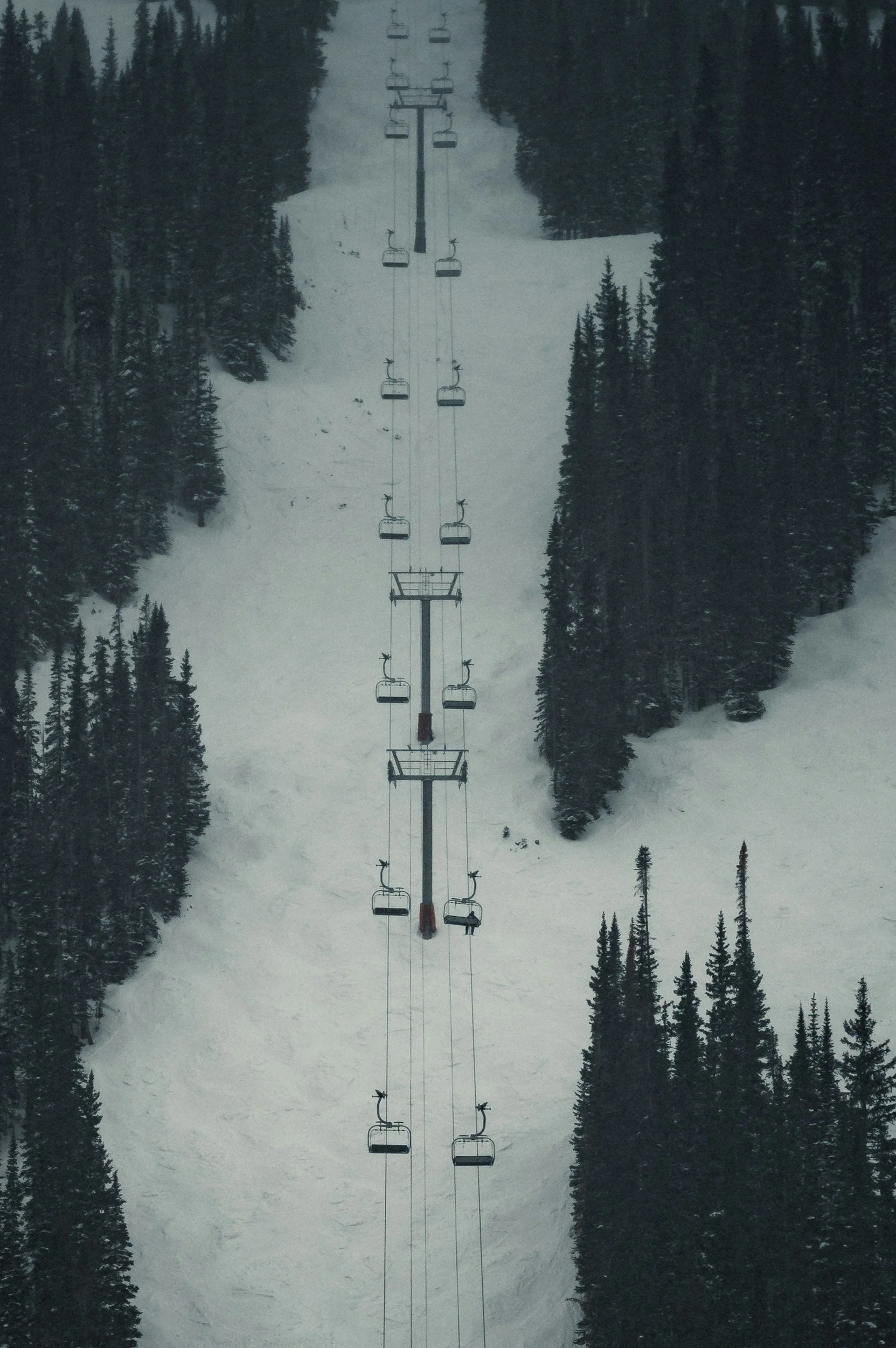 Ski lift chairs traveling up a snow-covered mountain with dense evergreen trees on either side.