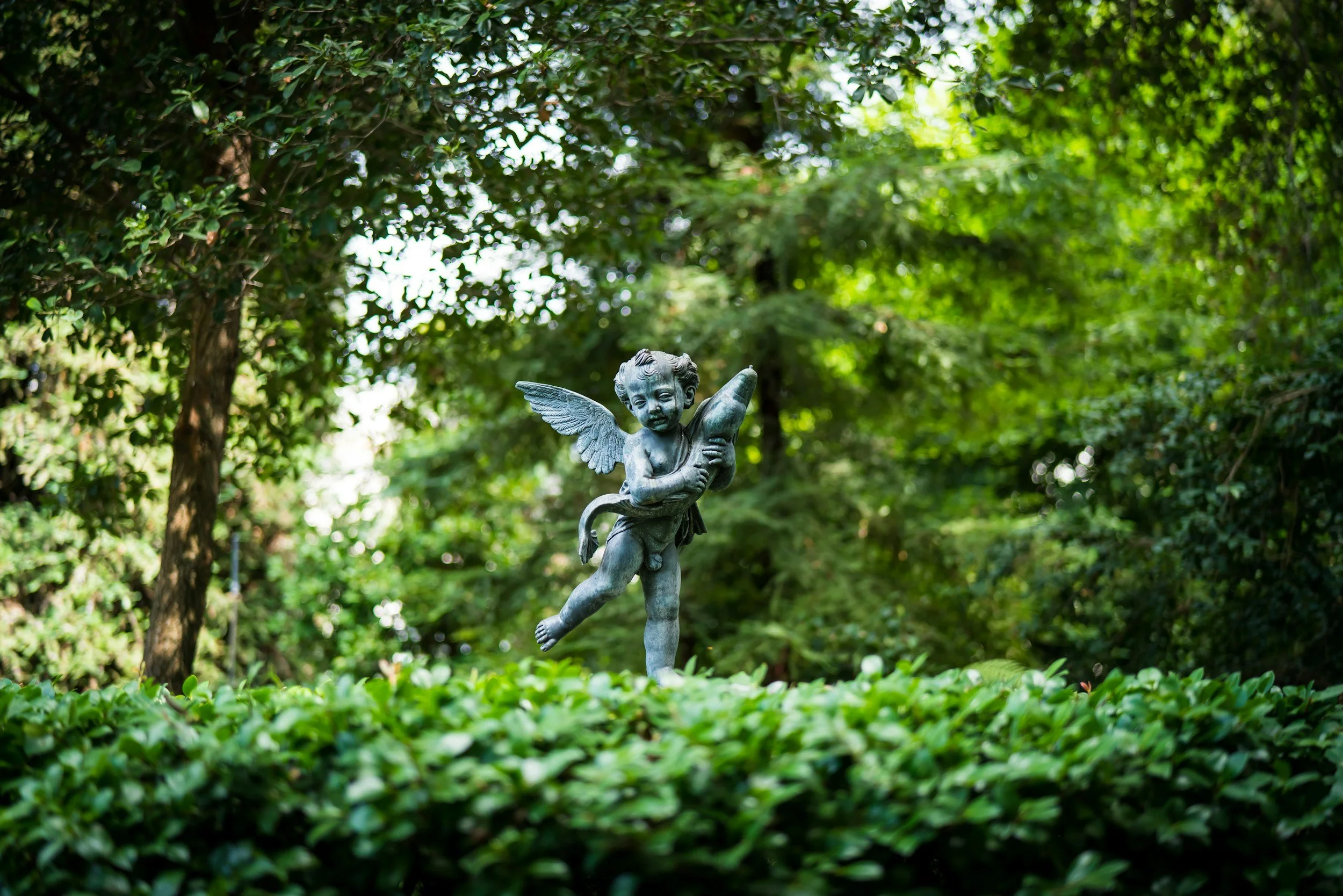 Celebrating Pasadena's Beautiful Gardens