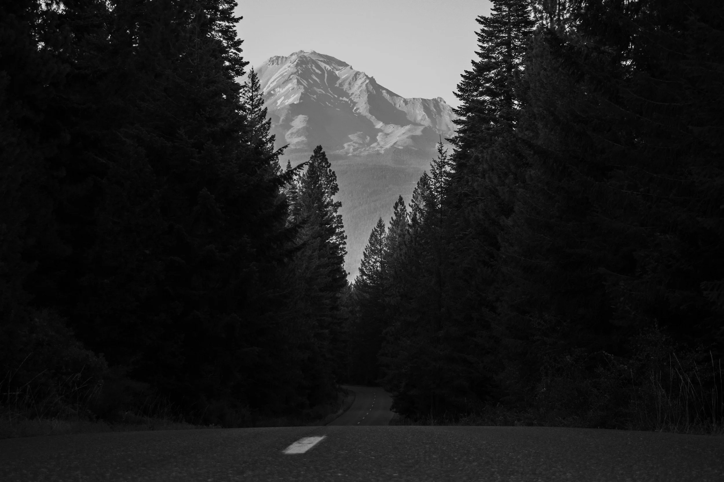 MAKING A PLAN AND WALKING IT BLINDLY.