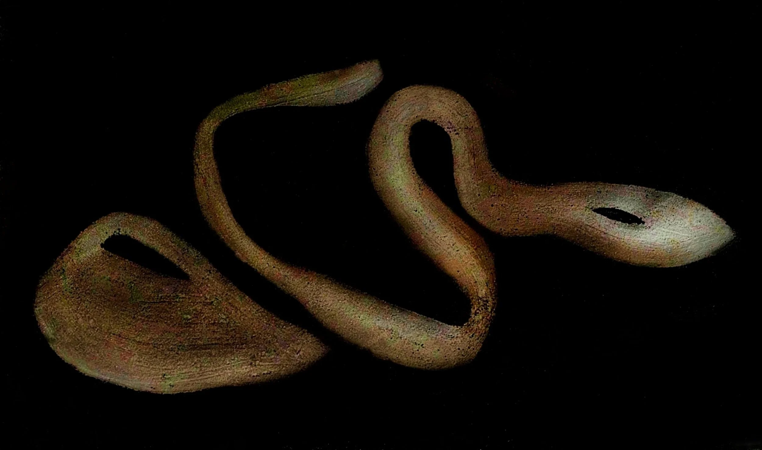 OTRA NATURALEZA ES POSIBLE 3-01-01 34.jpeg