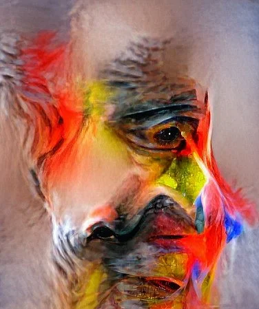 descarga (18)-01.jpeg