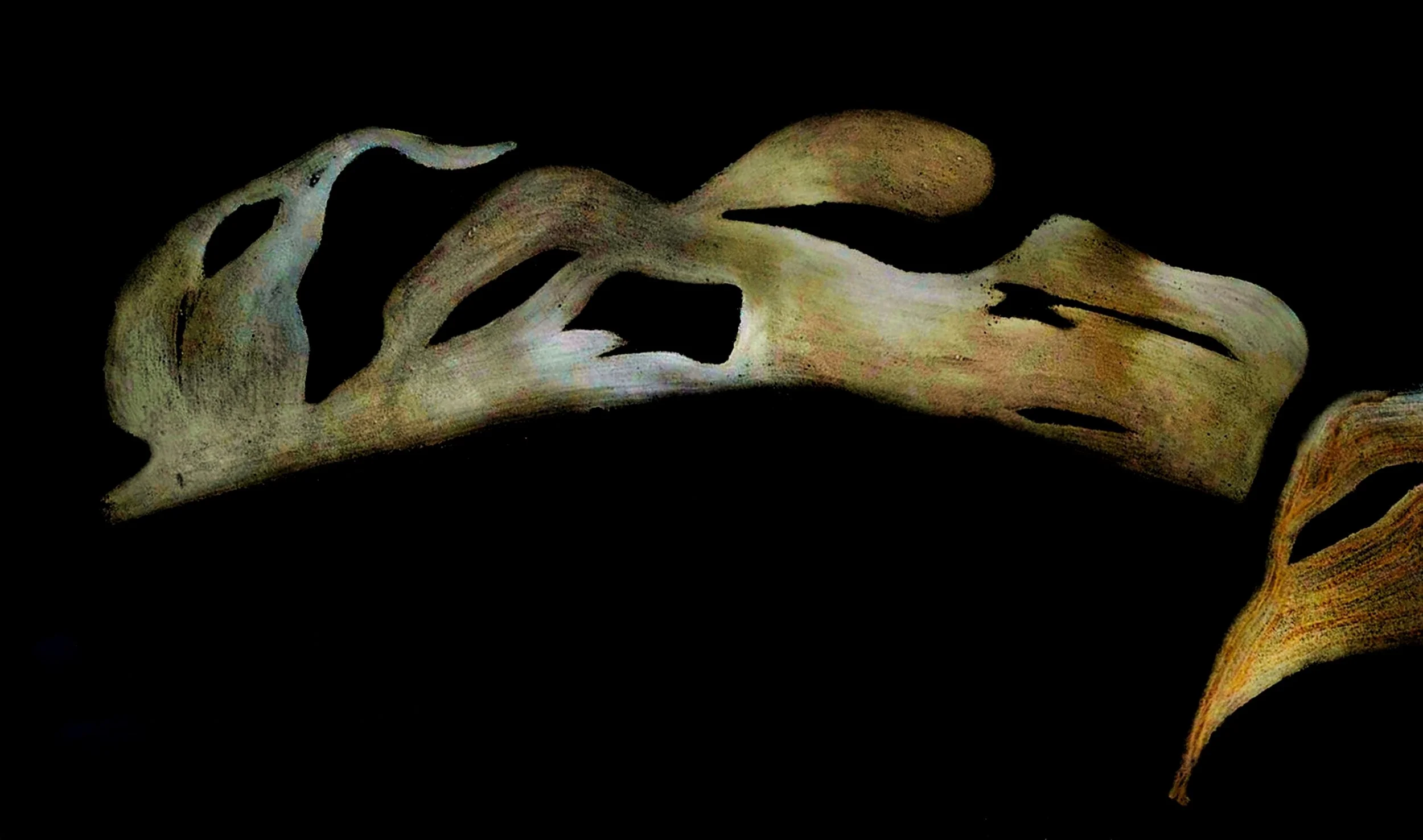 OTRA NATURALEZA ES POSIBLE 3-01-01 56.jpeg