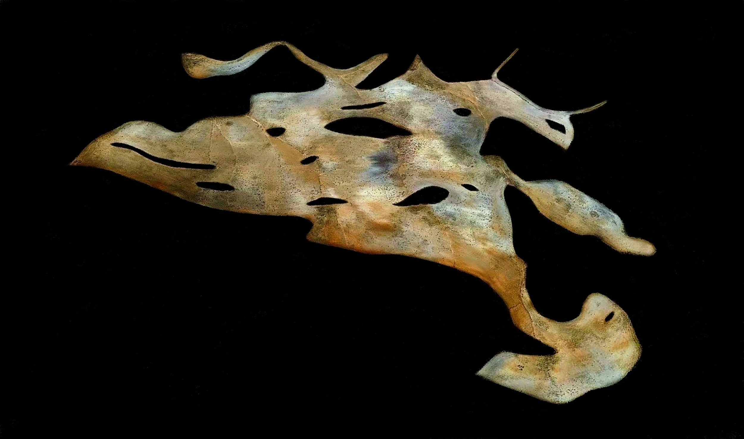 OTRA NATURALEZA ES POSIBLE 3-01-01 57.jpeg