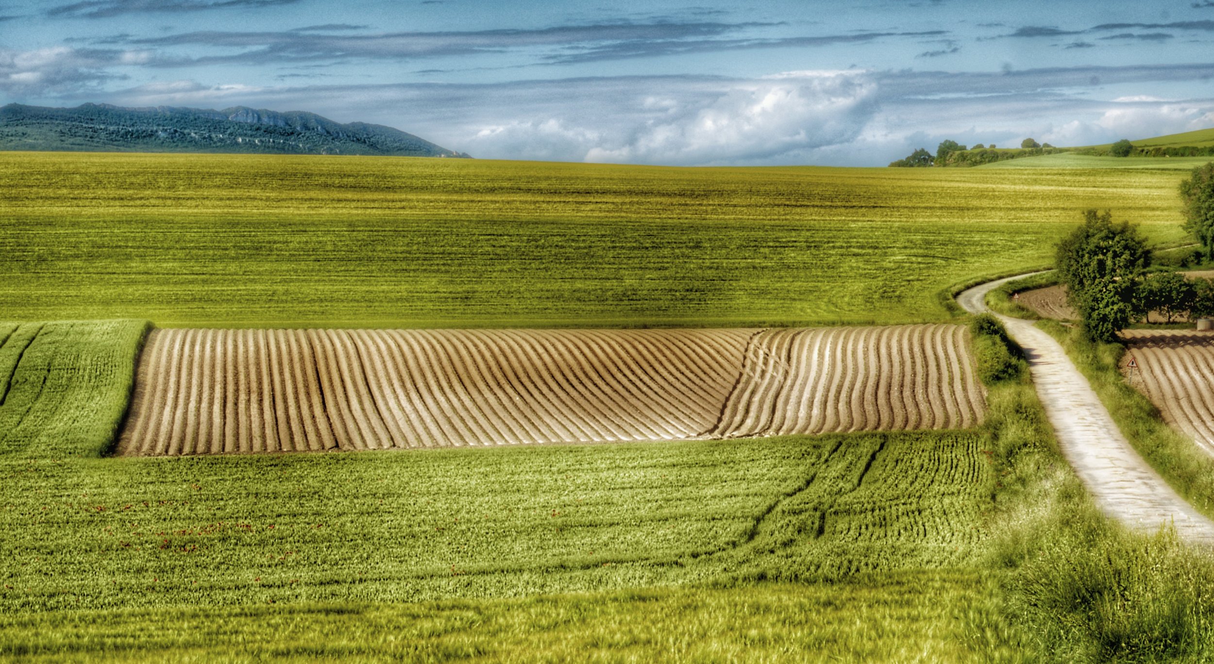 DSCF2379 - copia-01-01.jpeg