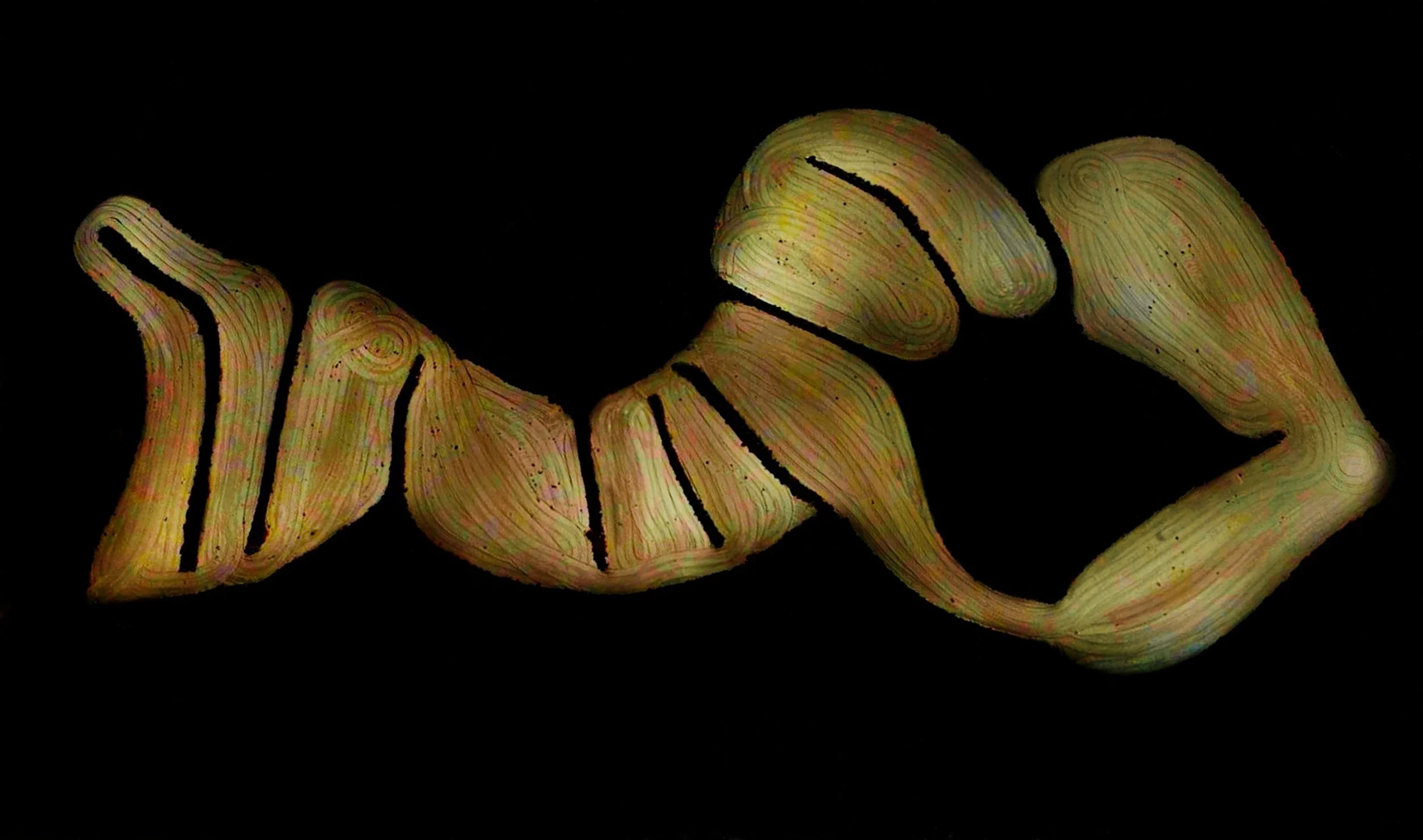 OTRA NATURALEZA ES POSIBLE 3-01-01 55.jpeg