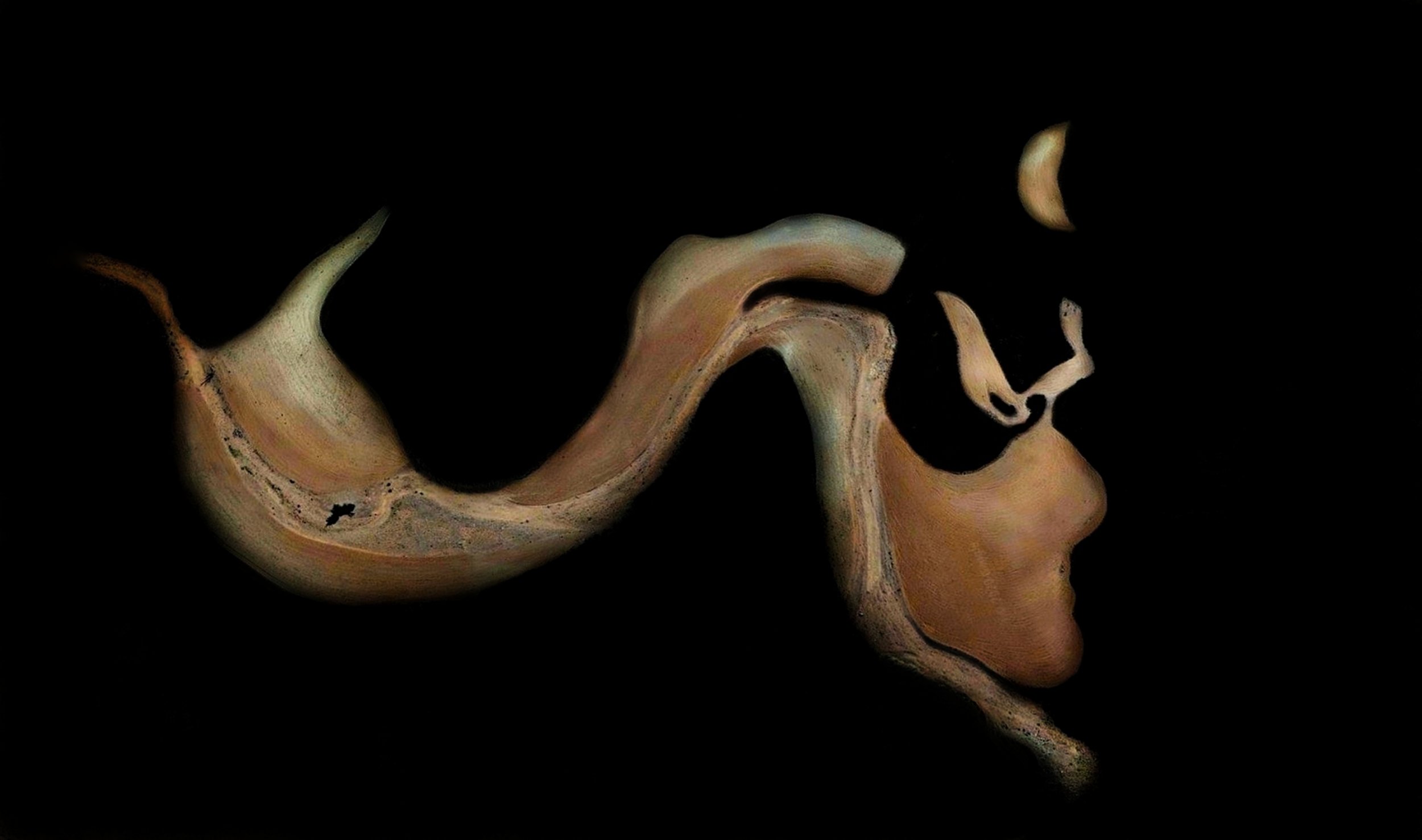 OTRA NATURALEZA ES POSIBLE 3-01-01 2.jpeg