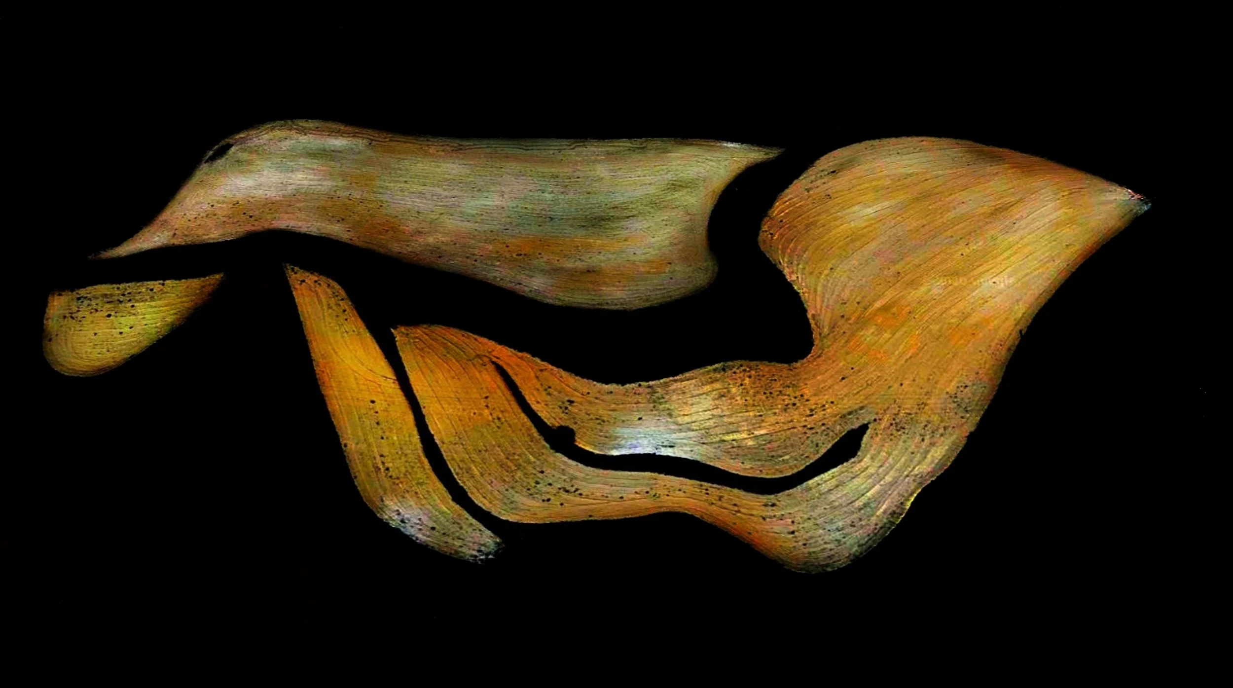 OTRA NATURALEZA ES POSIBLE 3-01-01 52.jpeg