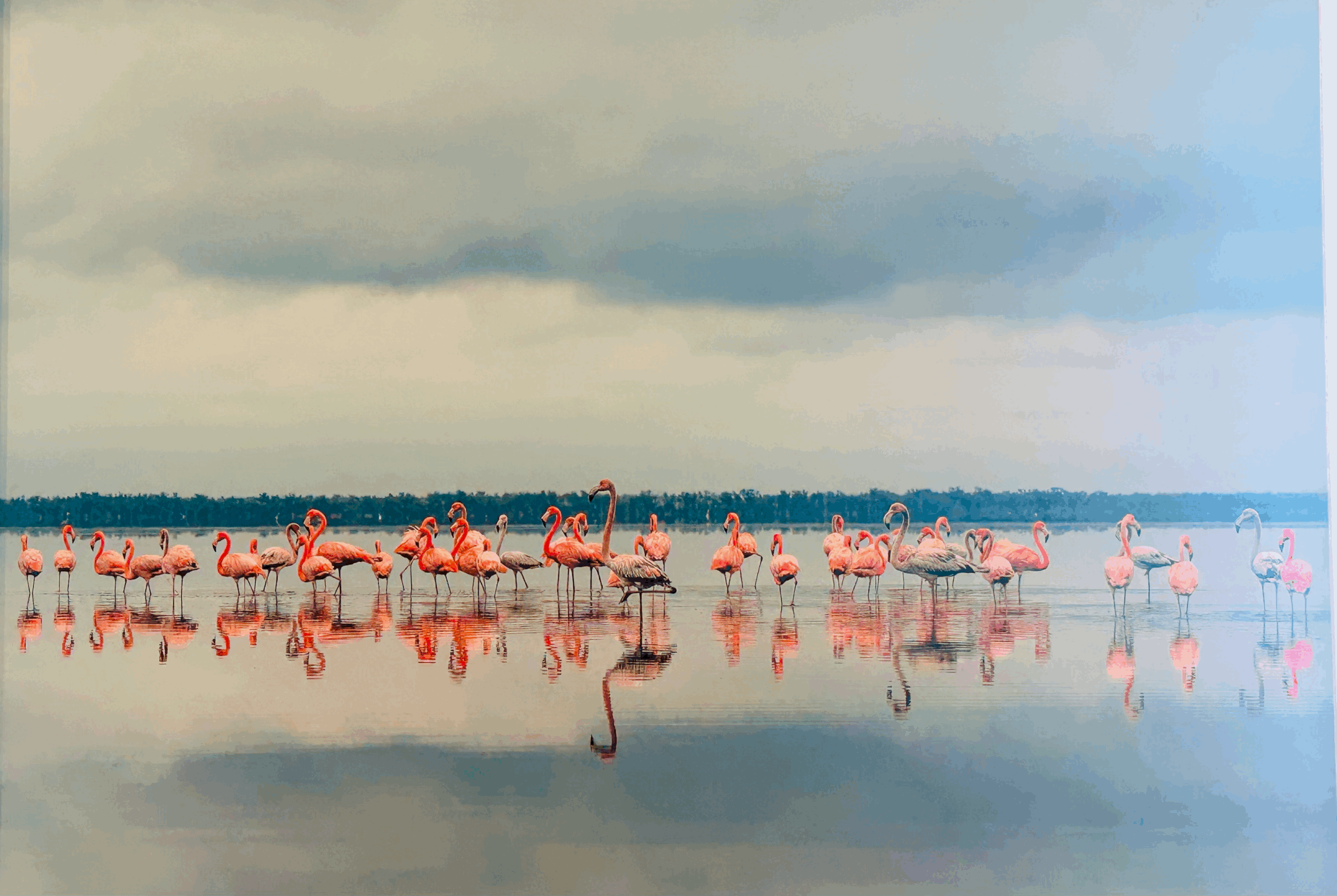 Pushing color: Contrast and nuance