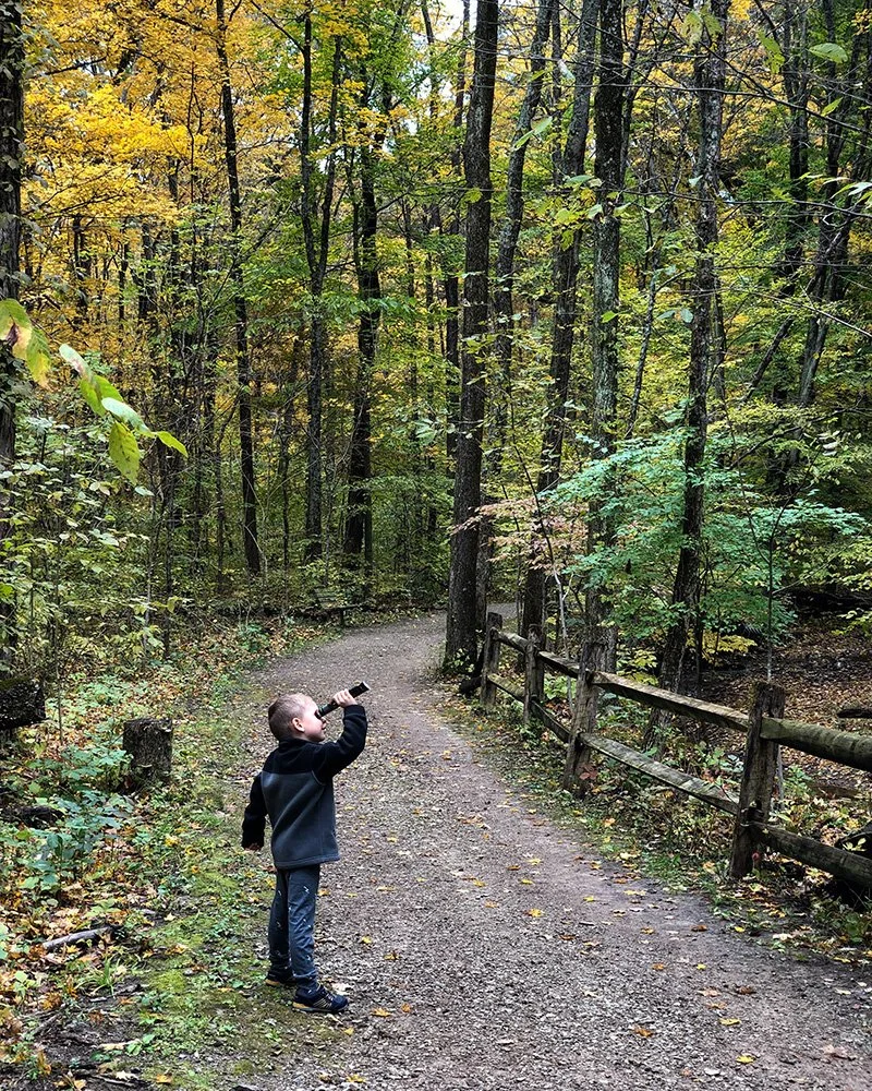 A young boy stands on a dirt trail in a dense forest, looking through a telescope, surrounded by trees with green and yellow leaves and a wooden fence on the right side.