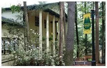 A building with a yellow facade partially obscured by trees and greenery, with a hanging sign nearby.