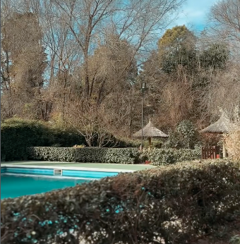 Piscina al aire libre rodeada de arbustos y árboles sin hojas en un día soleado.