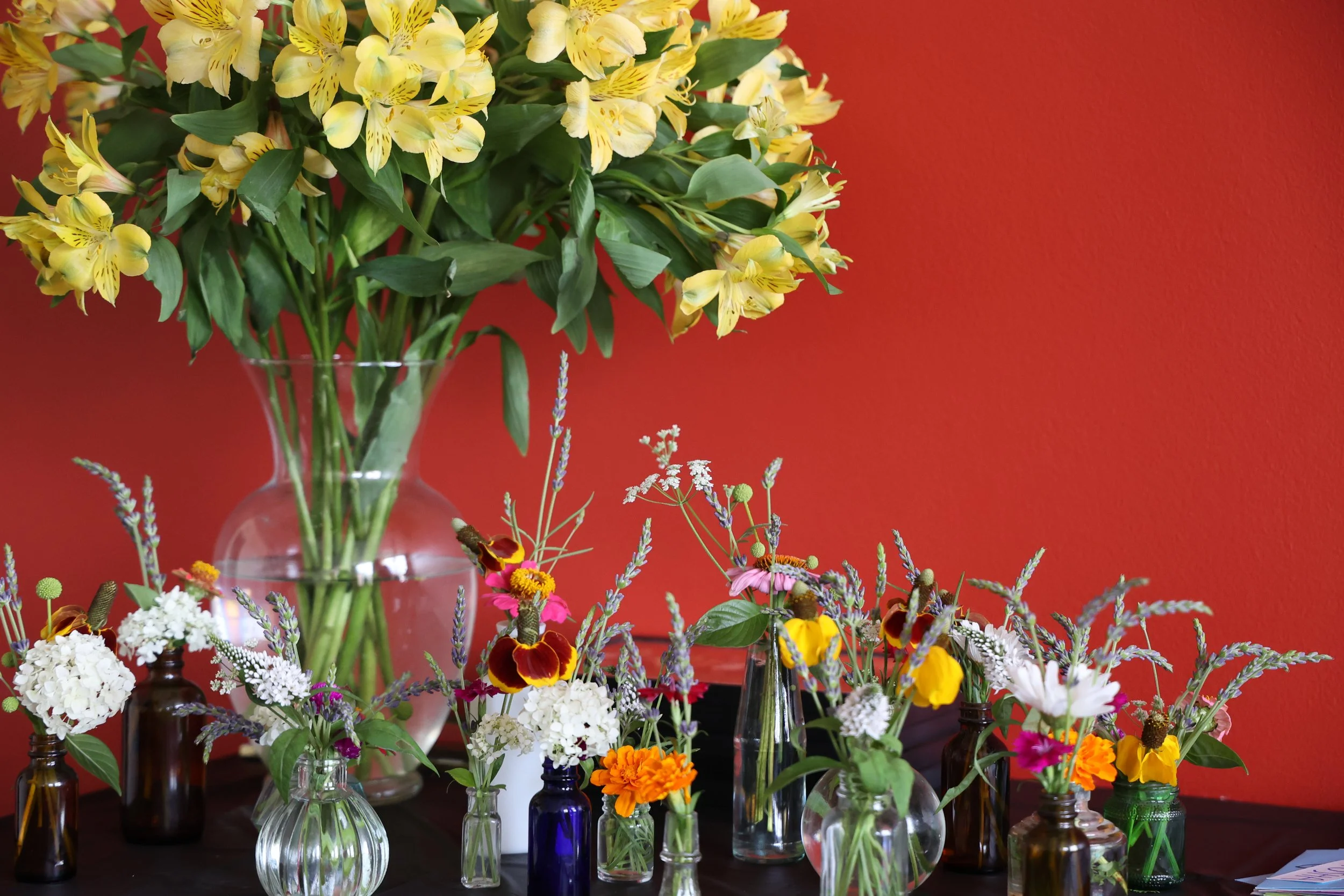 CAT Spring Gathering