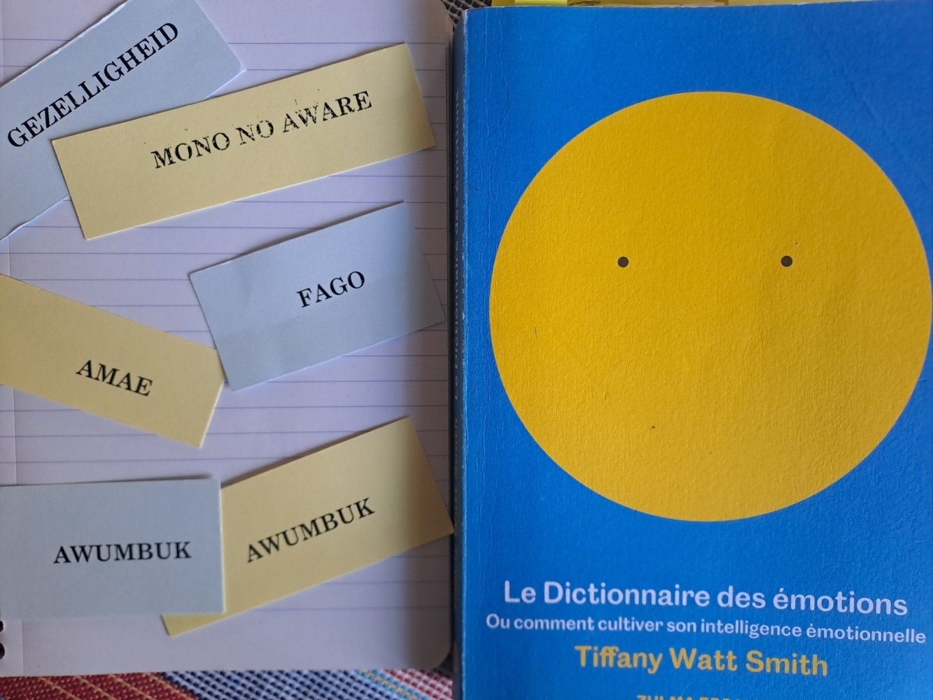 Lors d'un récent atelier d'écriture au café Le Bercail, nous avons exploré un drôle de dictionnaire : celui des émotions du monde.

Les participants ont découvert des mots comme Awumbuk, cette sensation de vide laissée après le départ d'un invité en 