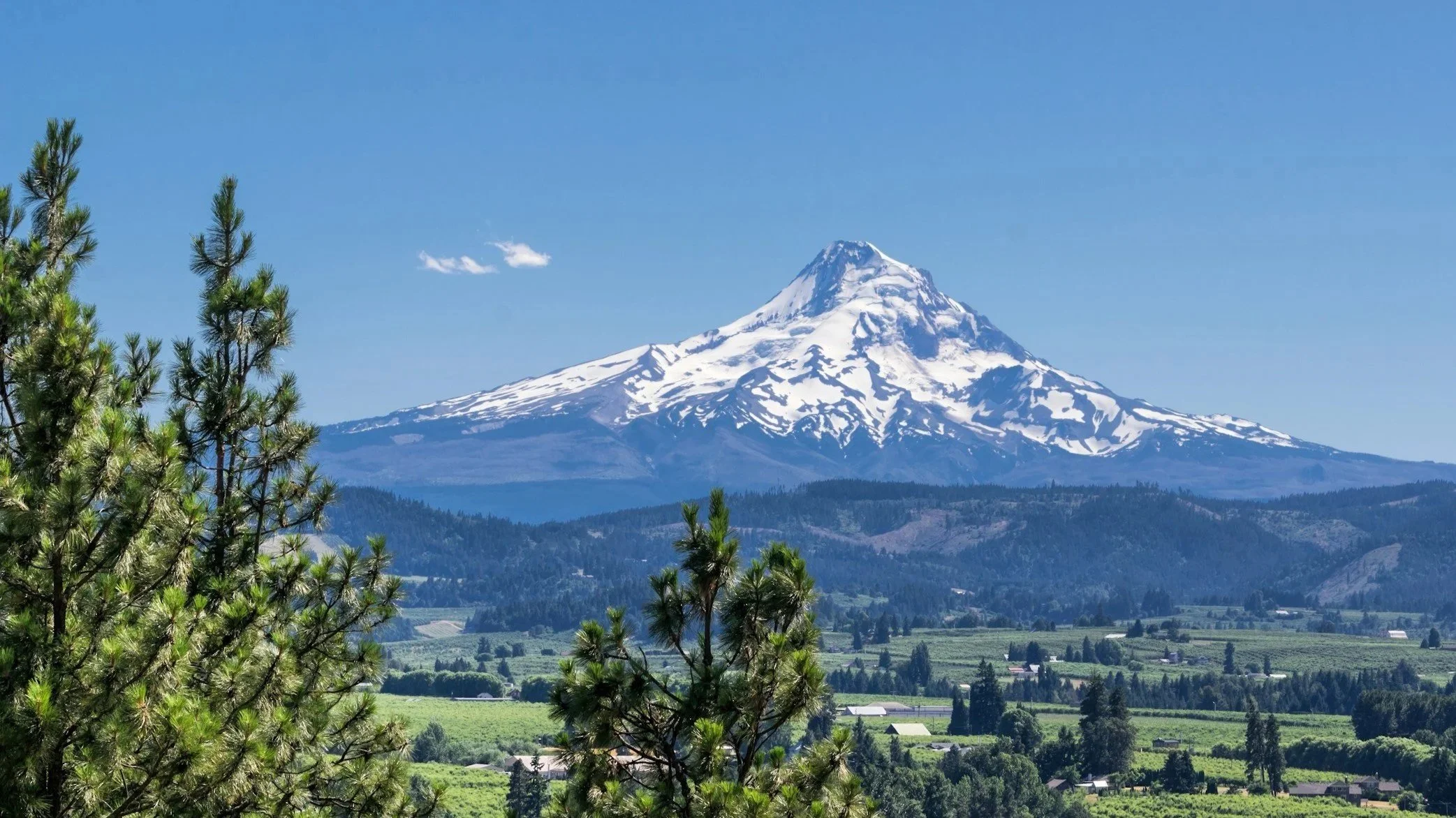 Snow-capped mountain with green farms and trees in foreground under blue sky.