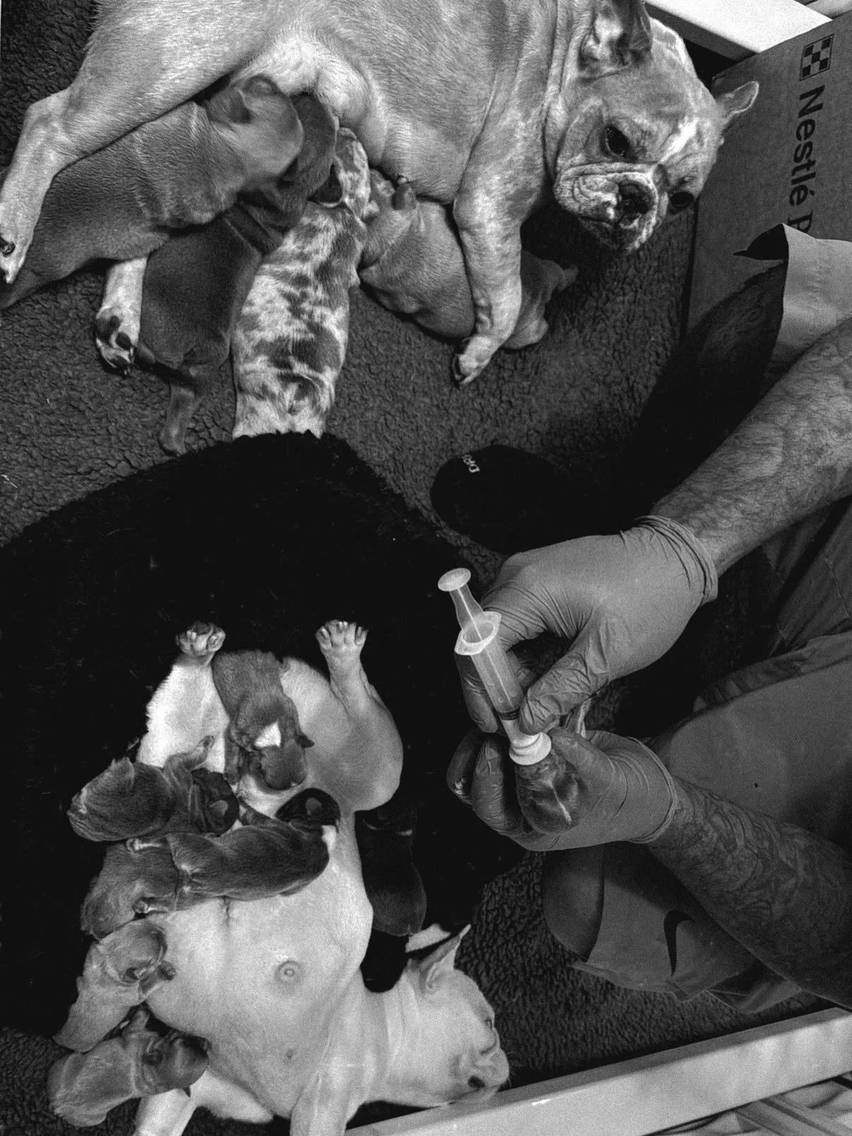 Raising Them Was A Privilege , Letting Them Go Is The Duty 💔 

Nothing Was Possible Without All Of You , THANK YOU 🥂