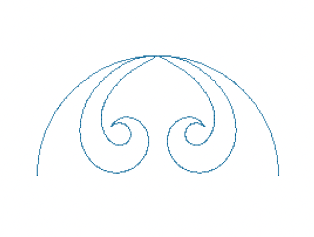 Curly Clamshell