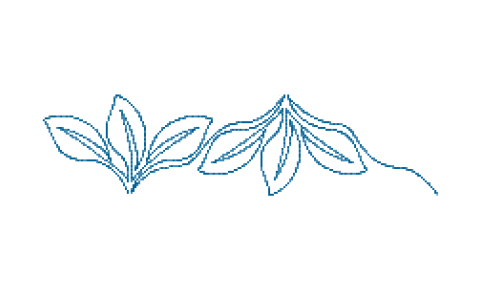 Triple Leaves