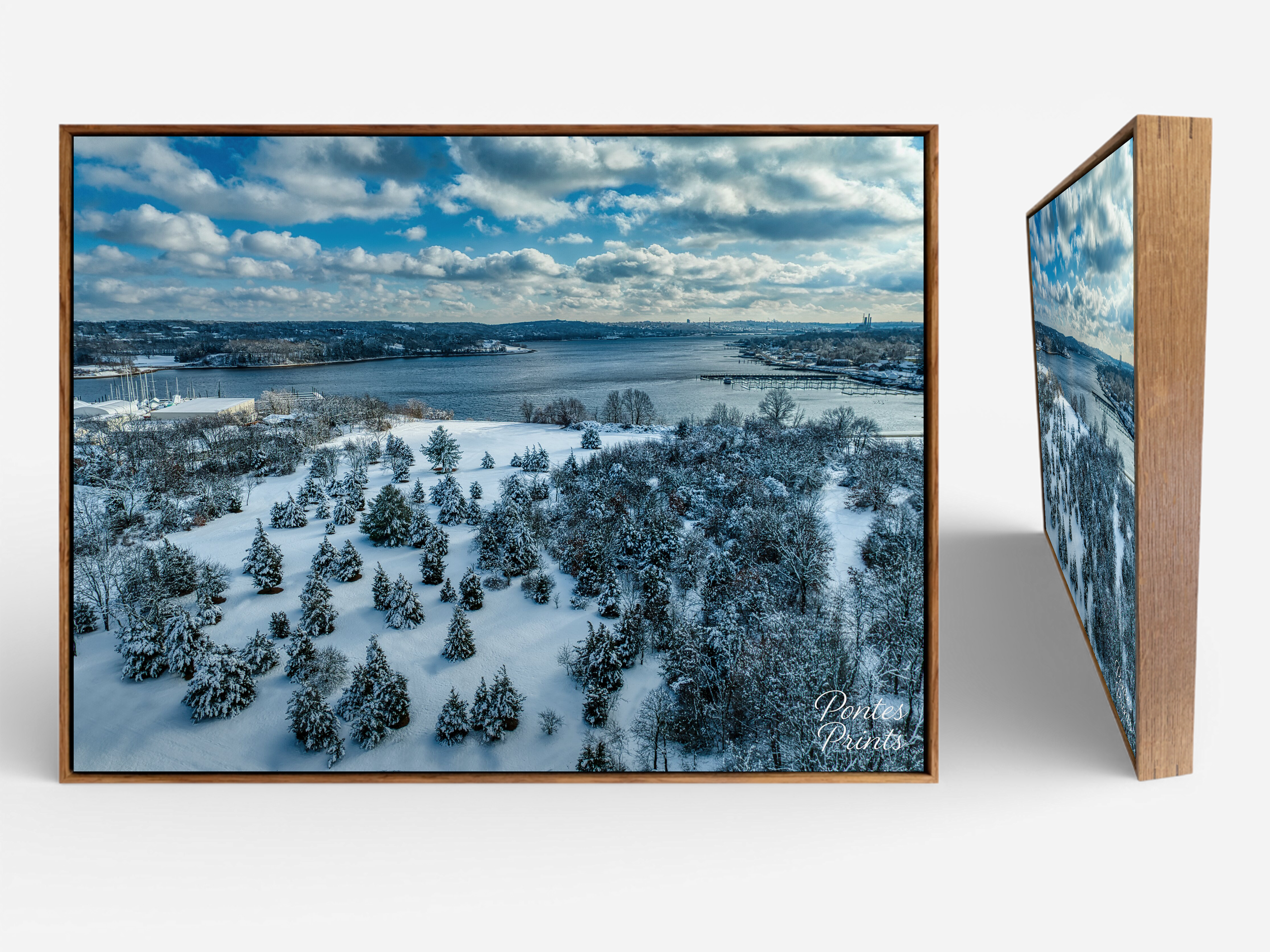 The Bluffs Float Frame.png