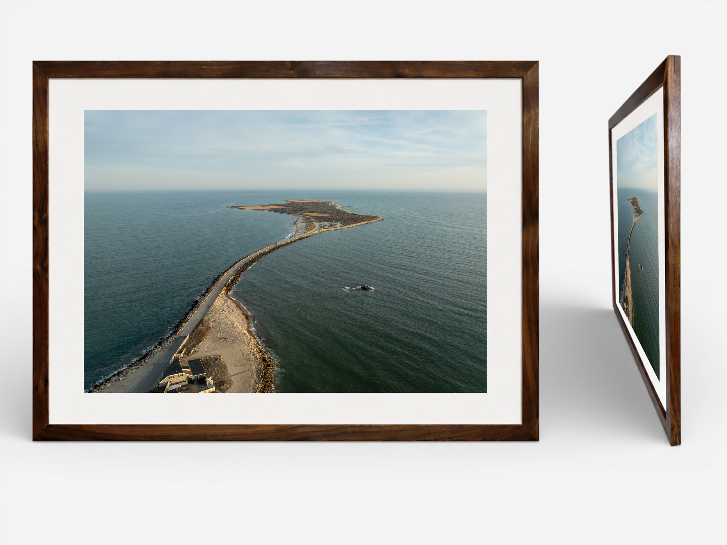 Gooseberry Island Walnut.png
