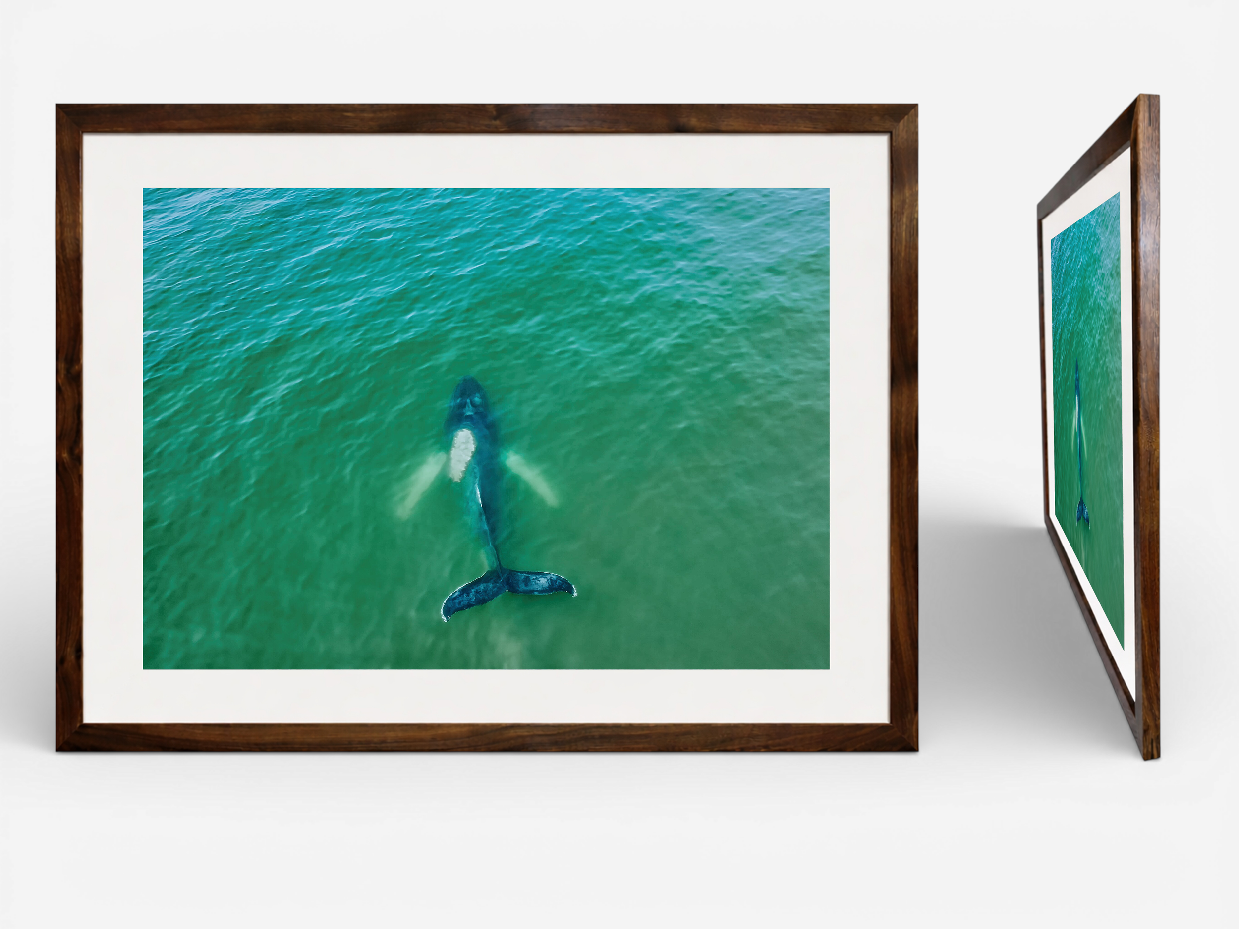Hamptons Whale Print Frame.png