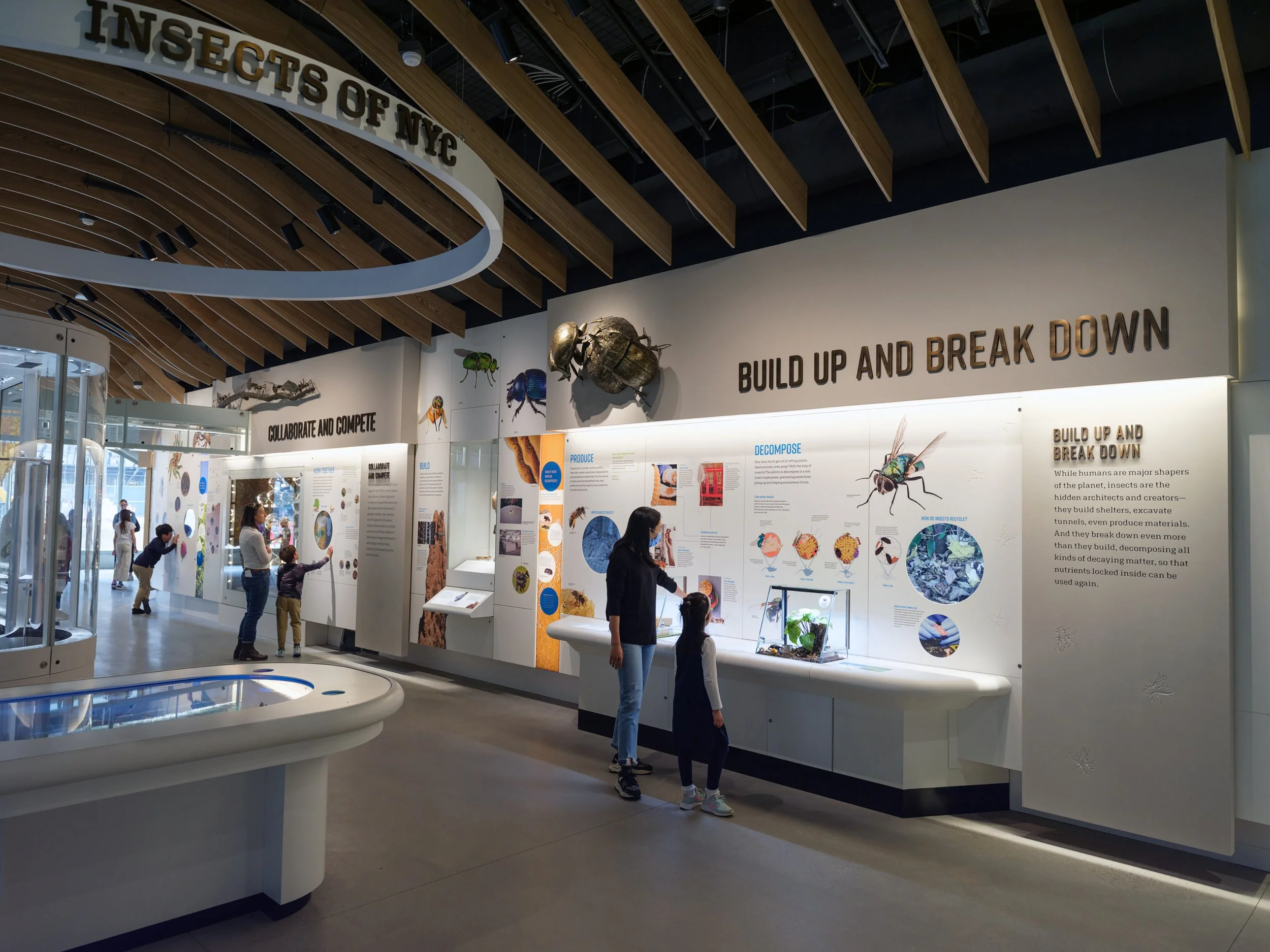 5-Insectarium AK_230403_4857.jpg