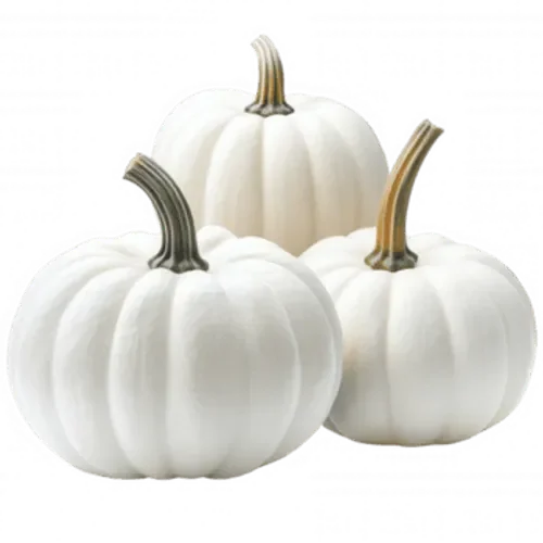 Autumn Flavor, Mini White Pumpkins 18lb case, Nice !