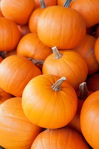 Autumn Flavors, Pie Pumpkins, 10 - 12ct box