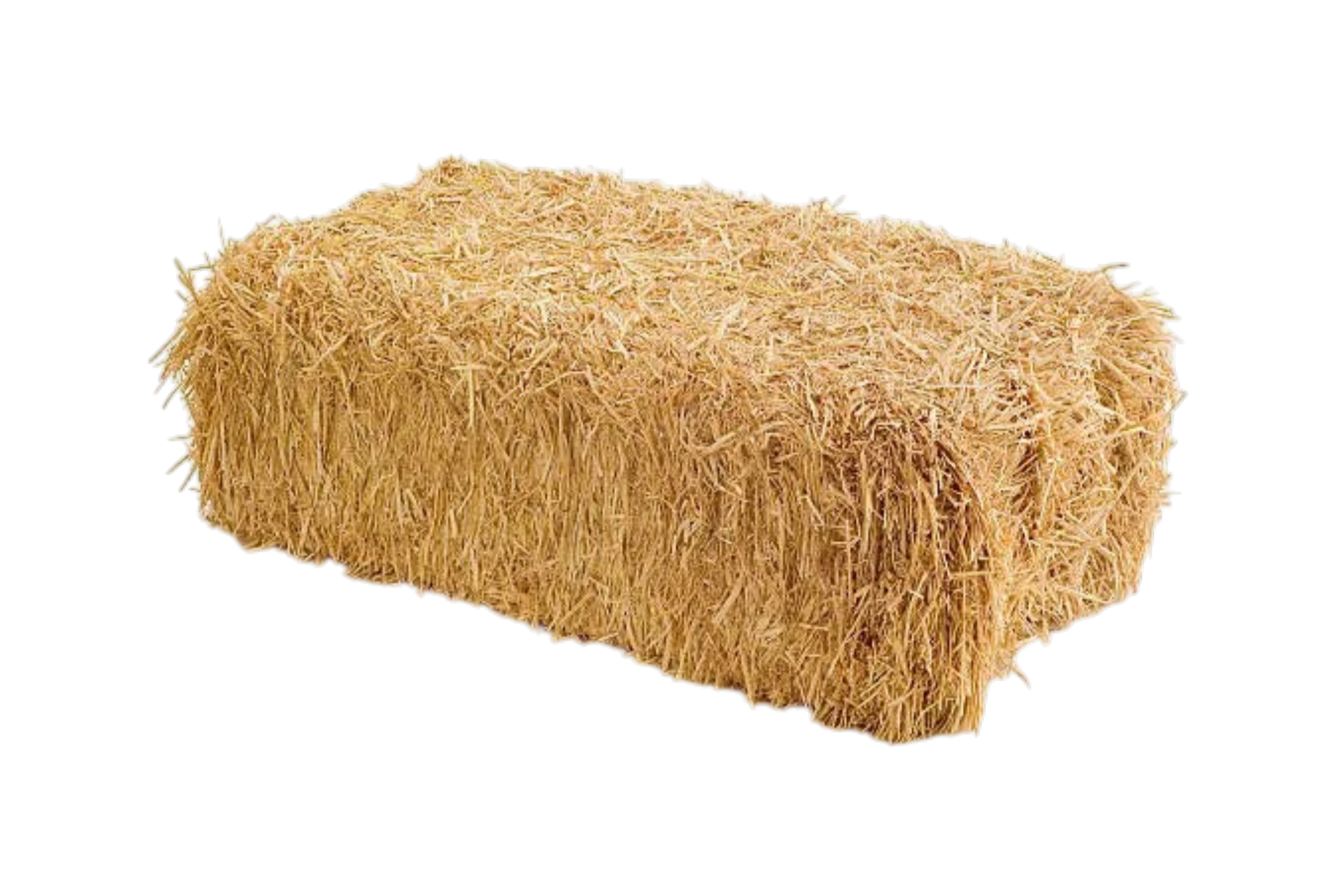 Fuel, Mini Wheat Straw Bale, NY State, 8x10x16", Clean, for tataki, searing, toasting 29.00