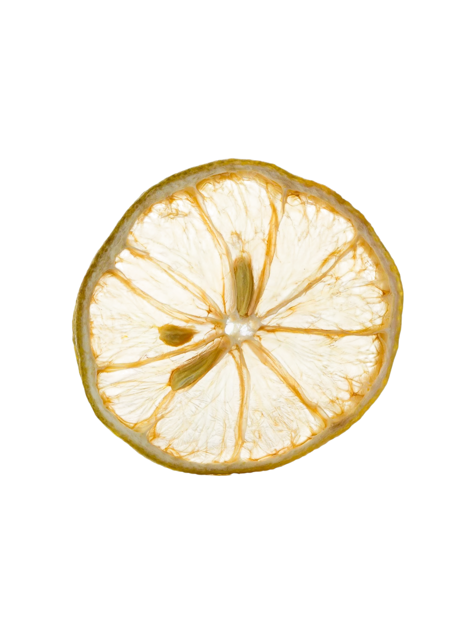 Dehydrated Lemon Wheel, 7.05oz bag, about 127 slices