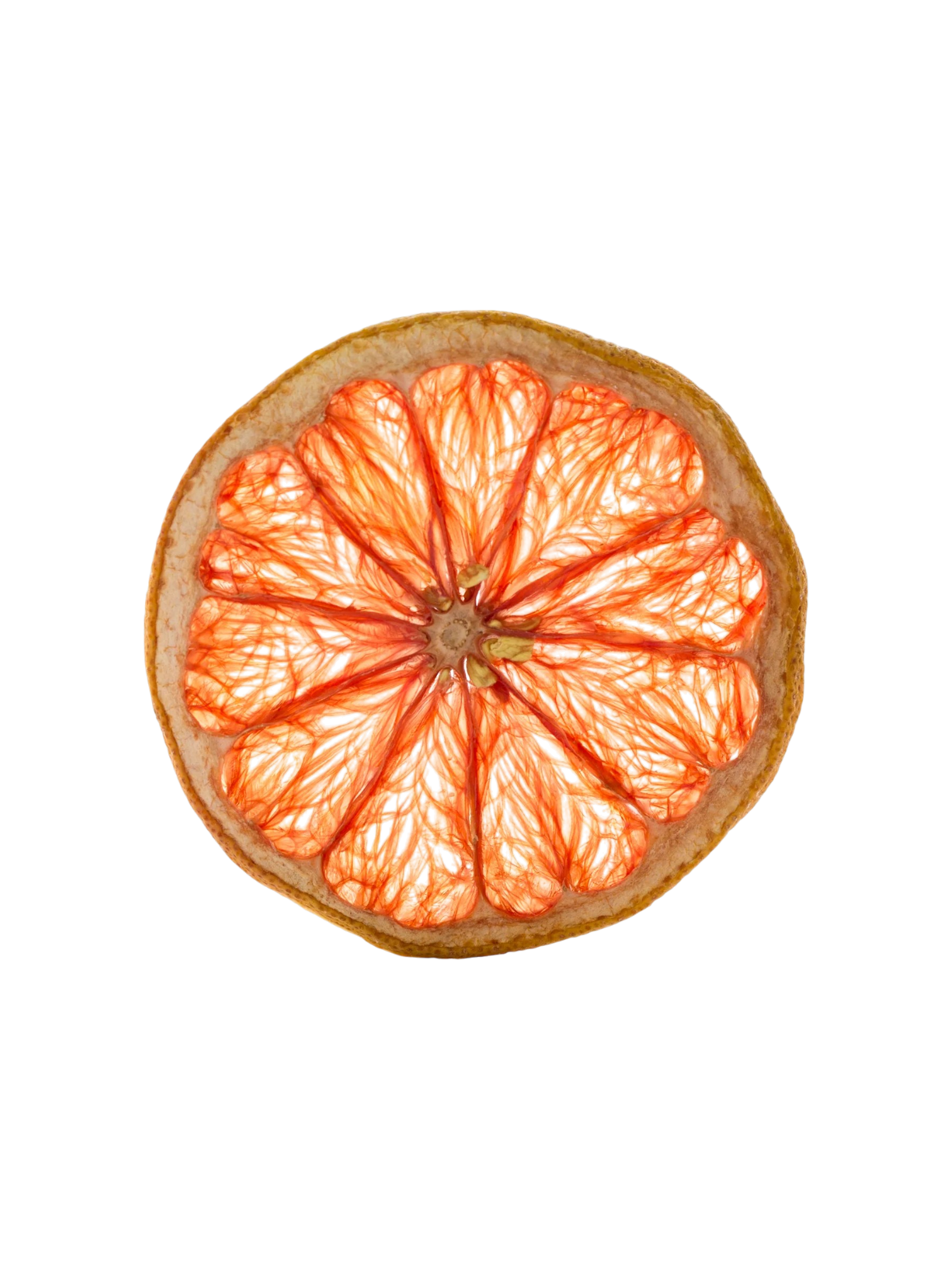 Dehydrated Grapefruit Wheel, 7.6oz bag, about 90 slices
