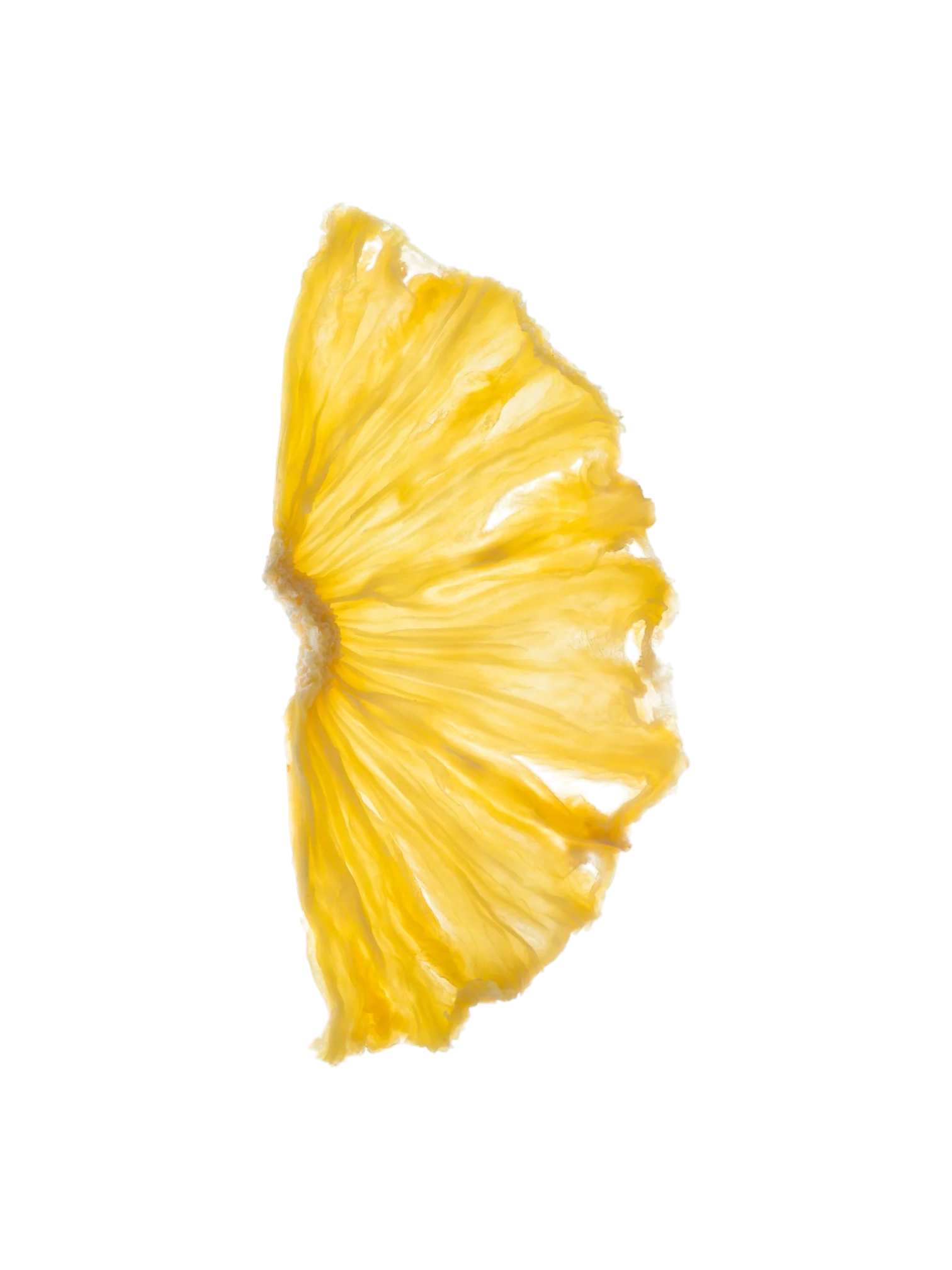 Dehydrated Pineapple Half Wheel, 7.6oz bag, about 60 slices