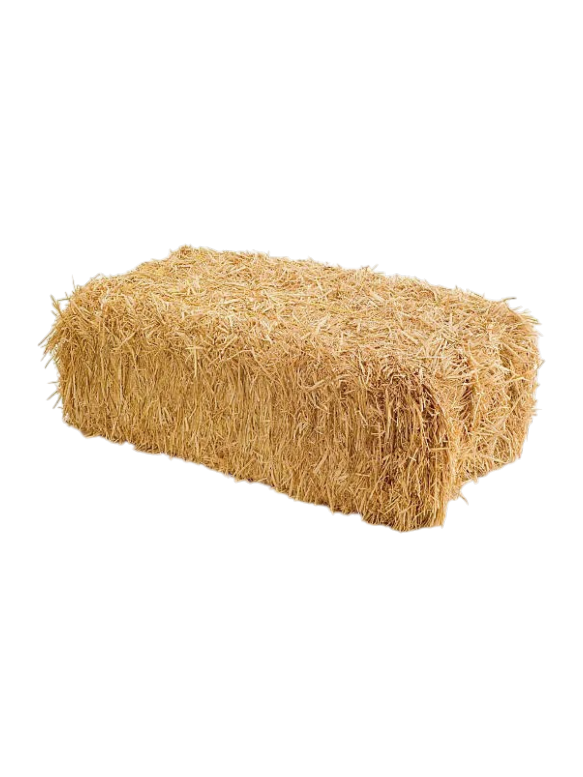 Straw, Mini Wheat Straw Bale, NY State, 8x10x16"