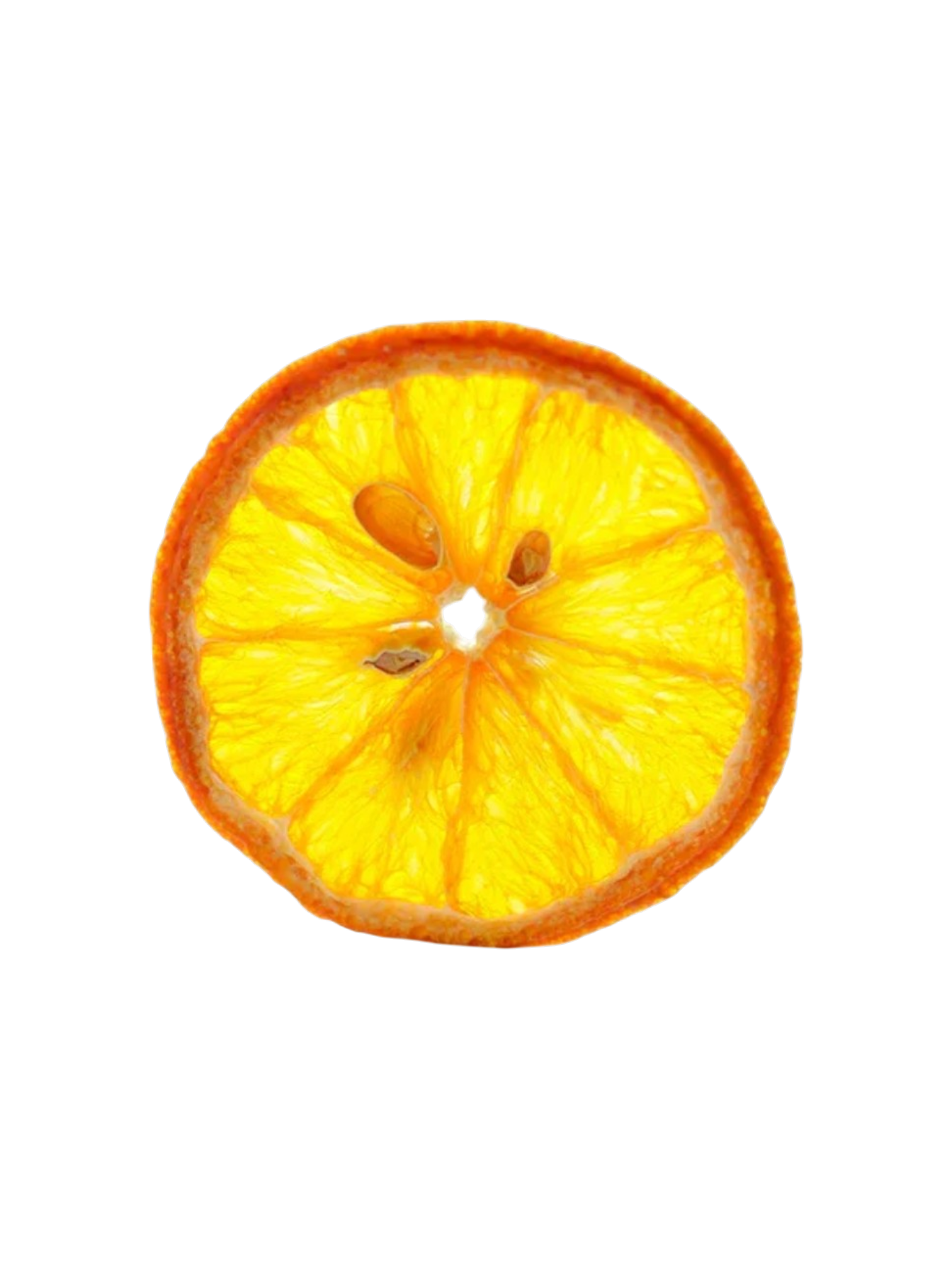 Dehydrated Orange Wheel, 7.6oz, about 90 slices