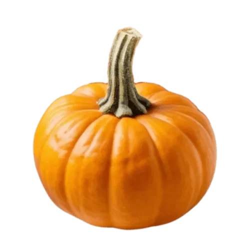 Autumn Flavor, Mini Pumpkins 18lb case